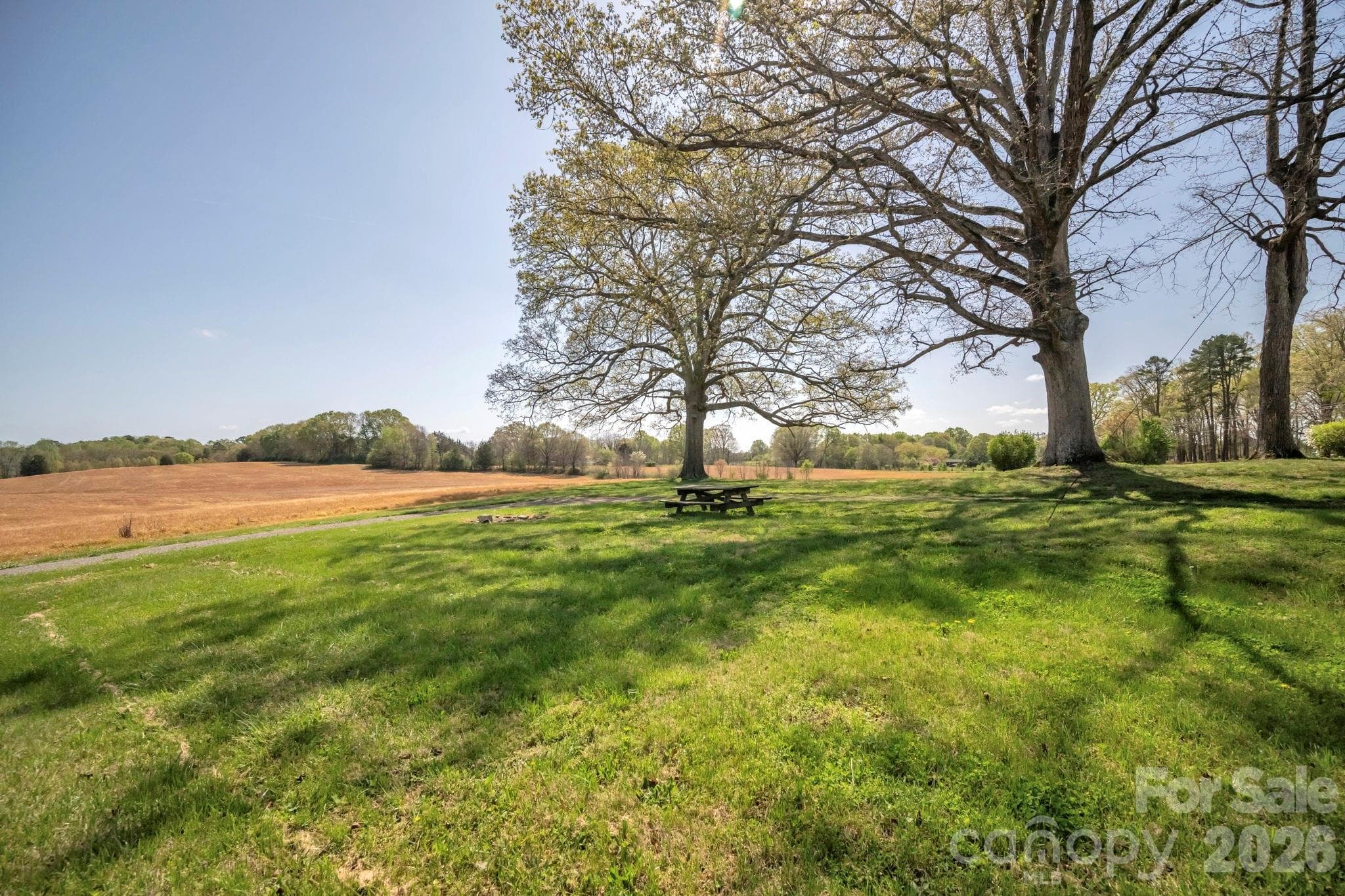 Home overlooks open pasture land - 32286 Laton Road, Albemarle