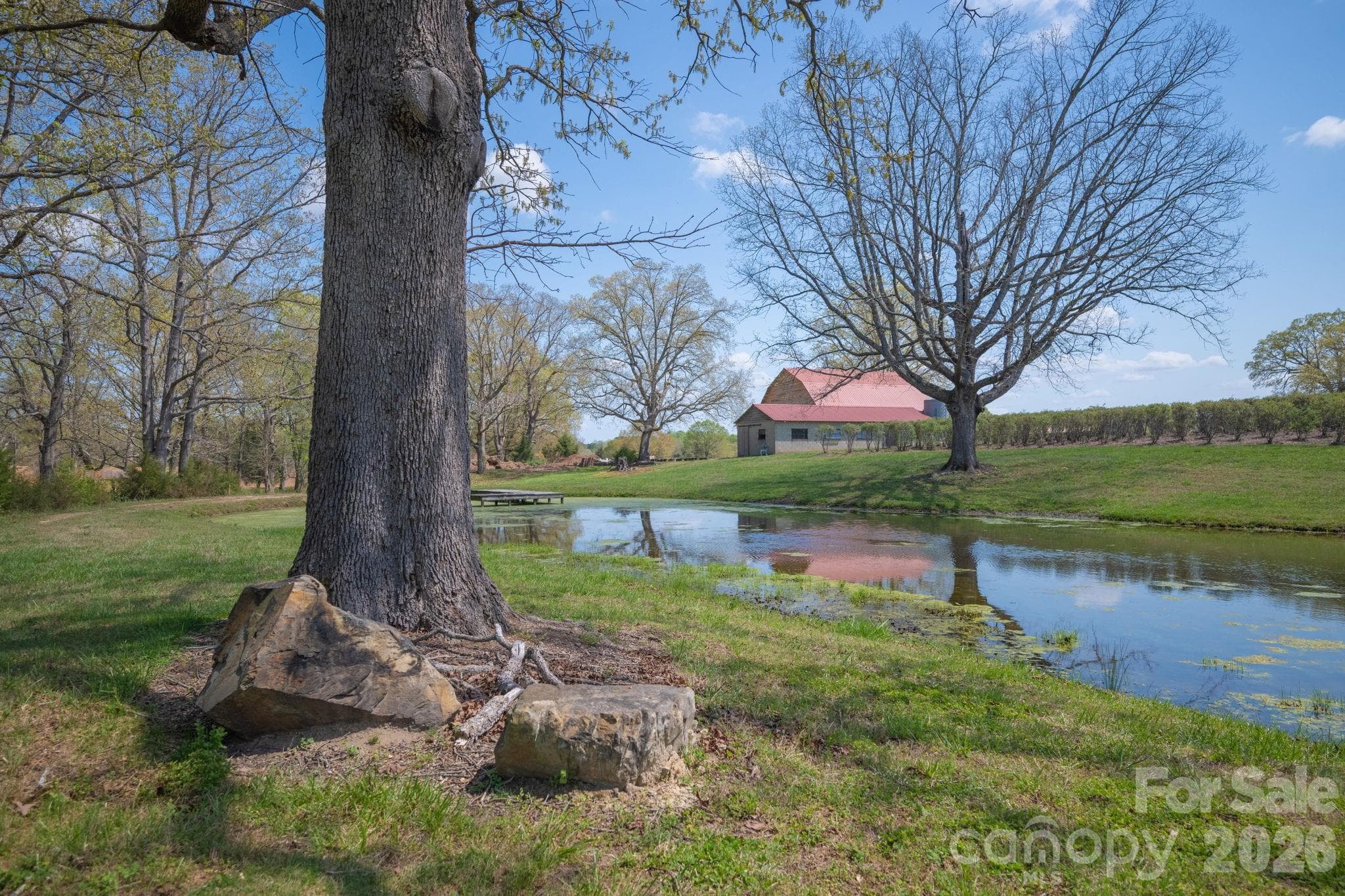 Pond and dock - 32286 Laton Road, Albemarle