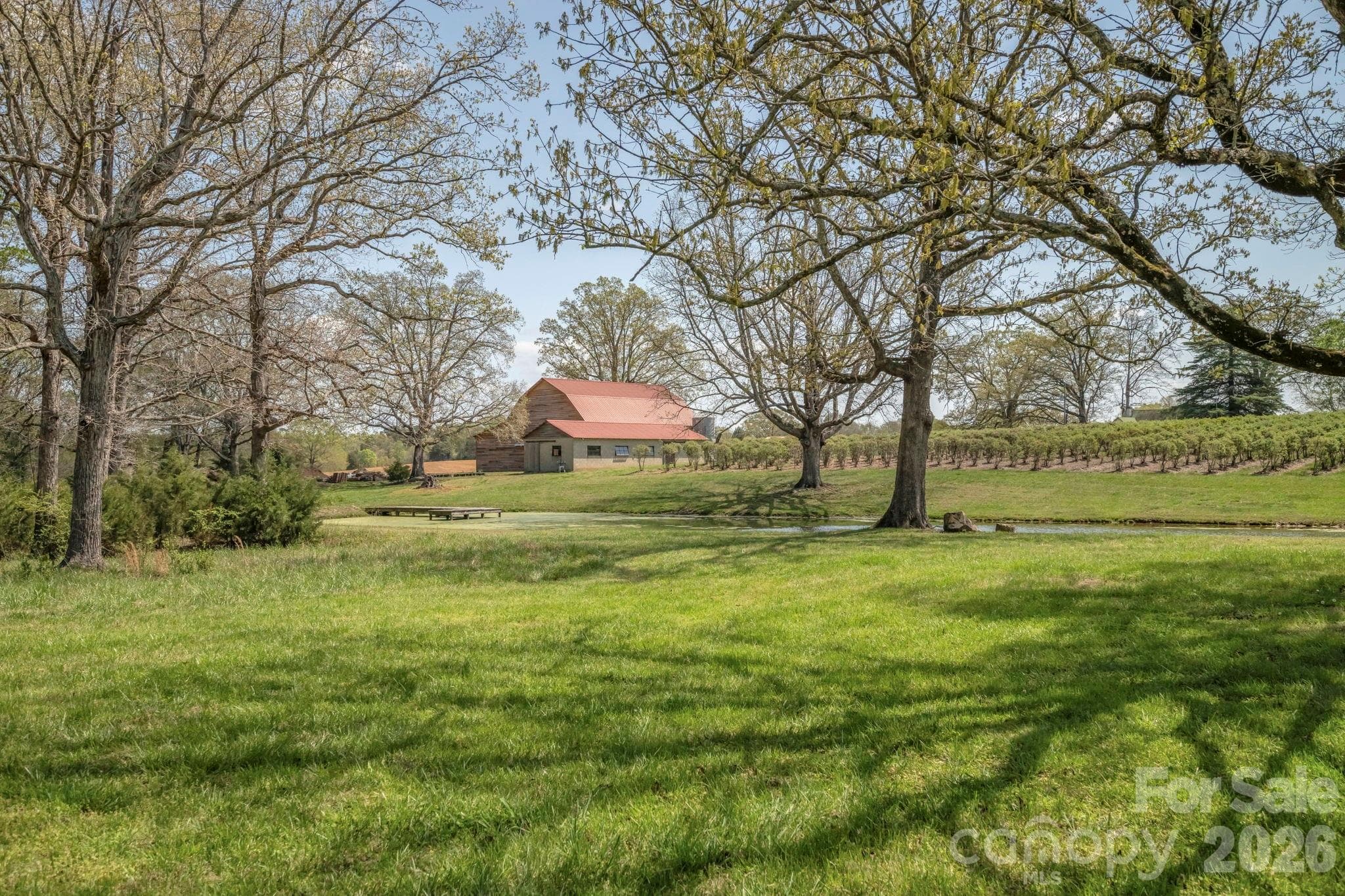 Farm at 32286 Laton Road, Albemarle, photo 24 of 37