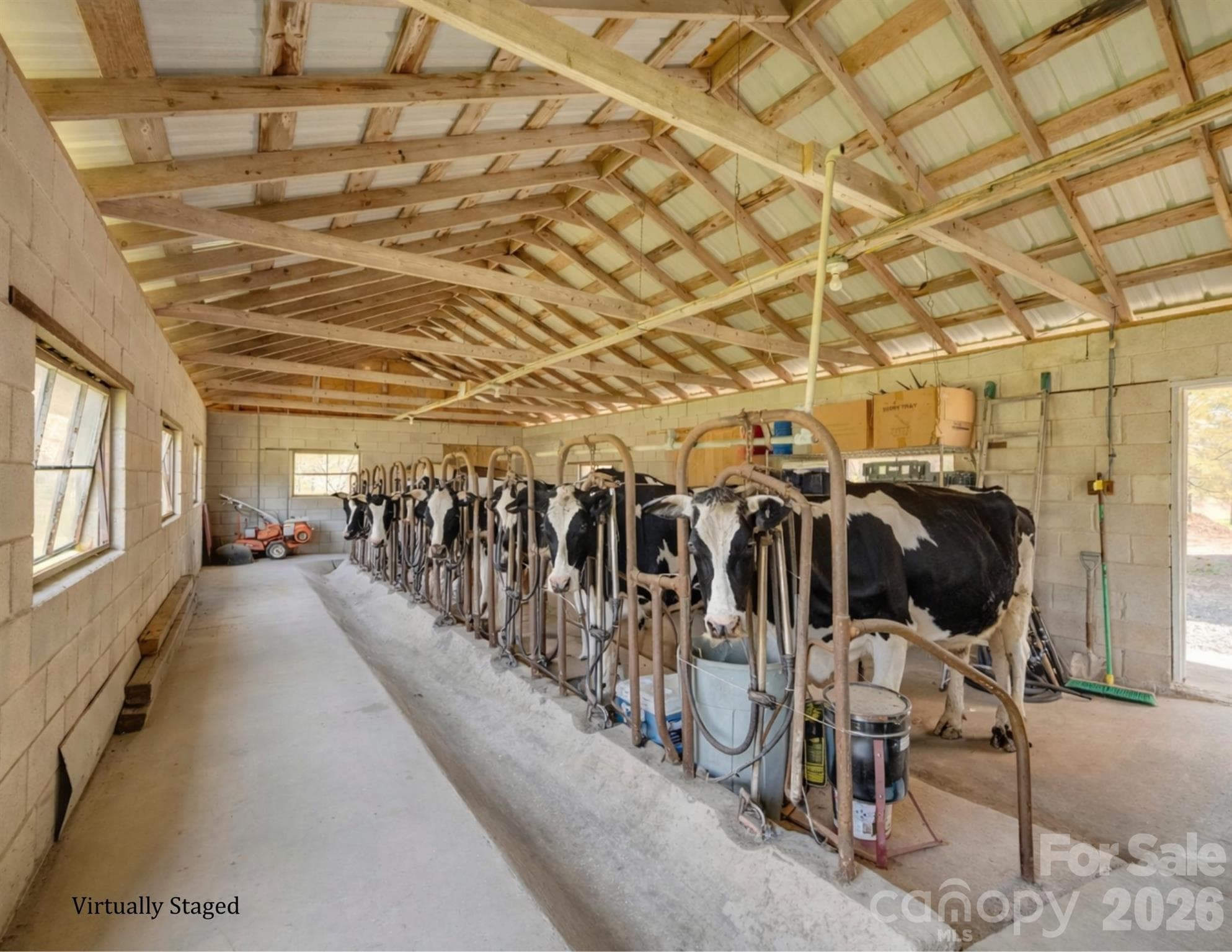 Dairy parlor in action - 32286 Laton Road, Albemarle