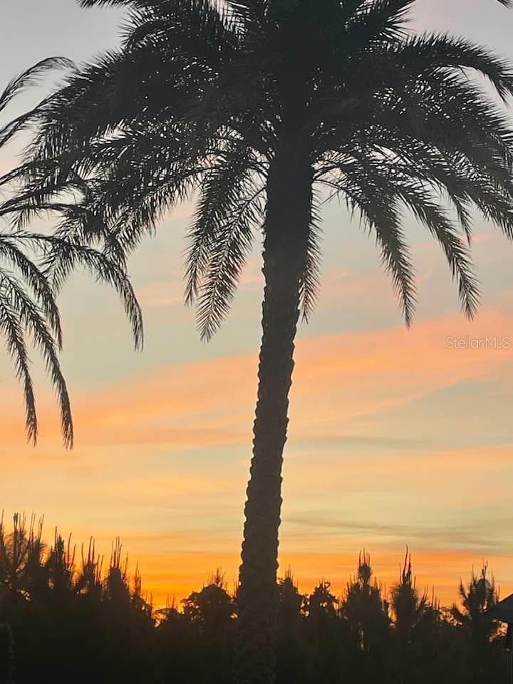 Beautiful Sunsets - 402 GOLFVIEW DR, DAVENPORT
