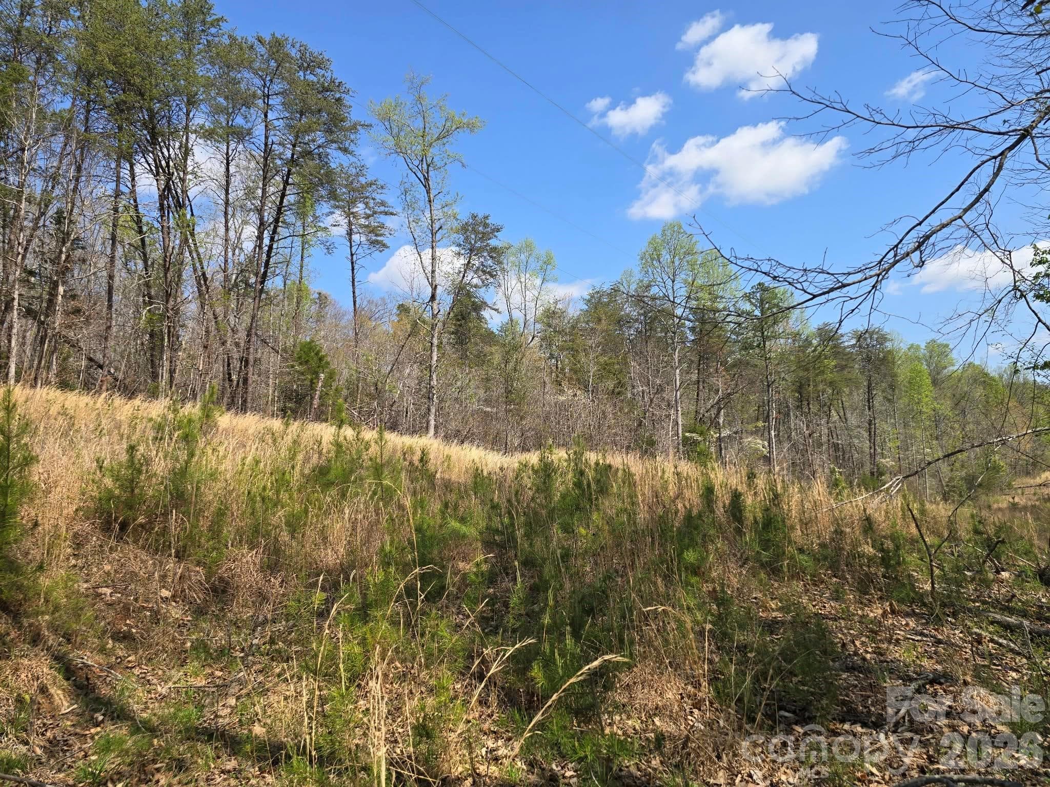 Lot at Rutherfordton, photo 3 of 14