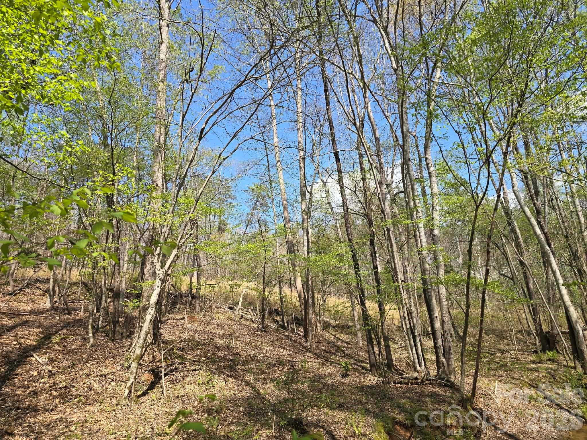 Lot at Rutherfordton, photo 4 of 14