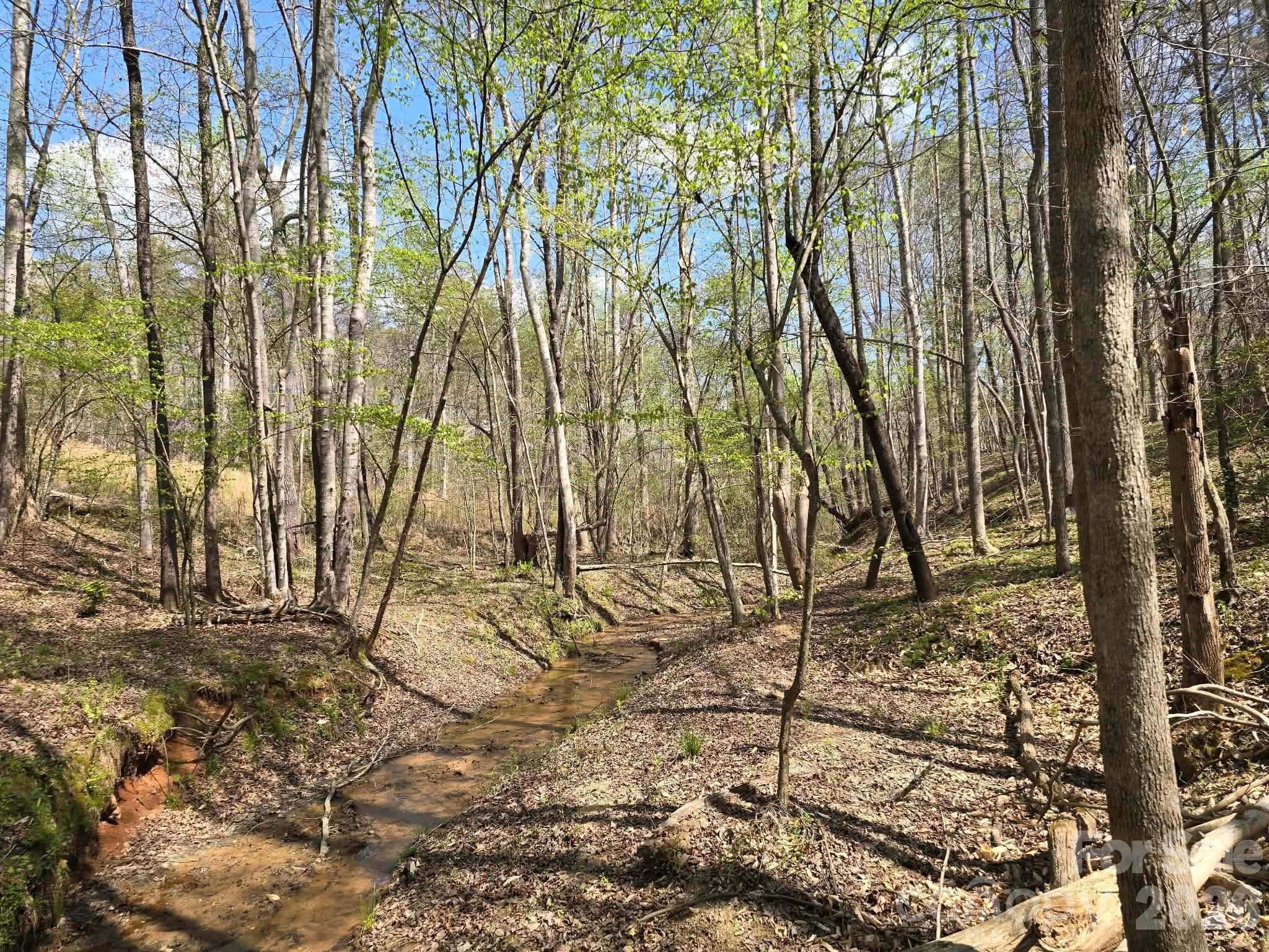 Lot at Rutherfordton, photo 6 of 14