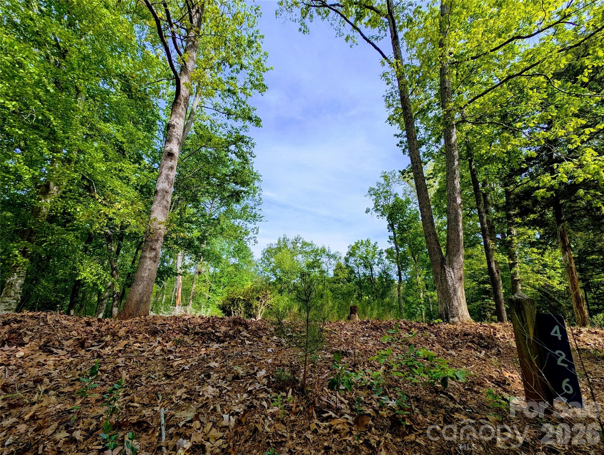 Lot at Fort Mill, photo 3 of 5