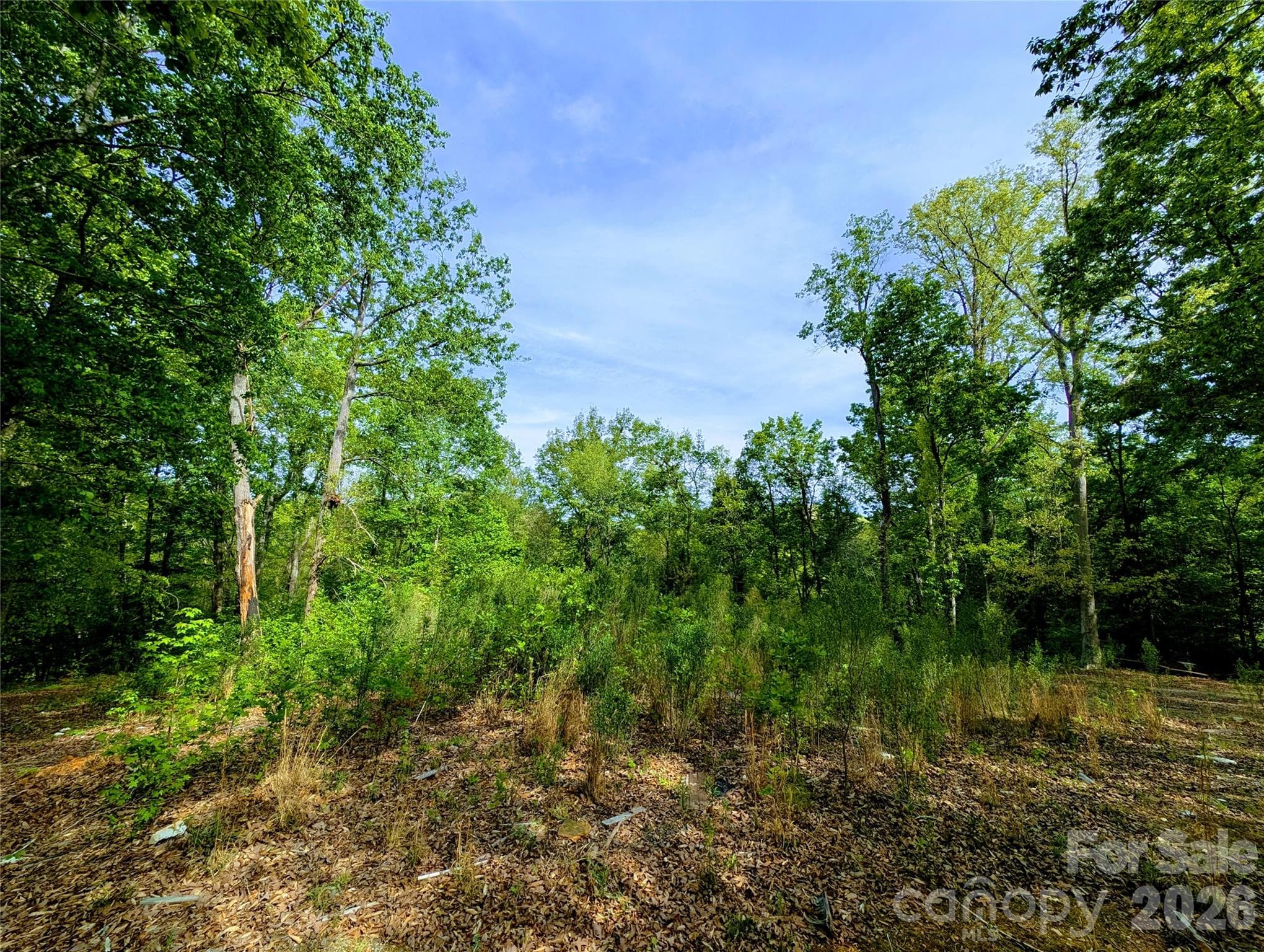 Lot at Fort Mill, photo 4 of 5