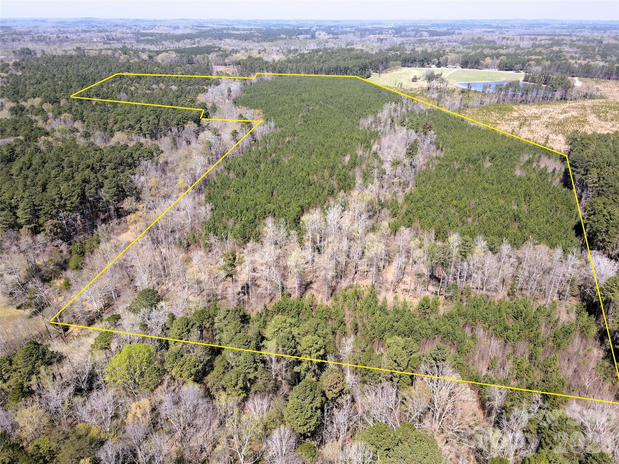 Looking North from the South property line - Chapel Hill