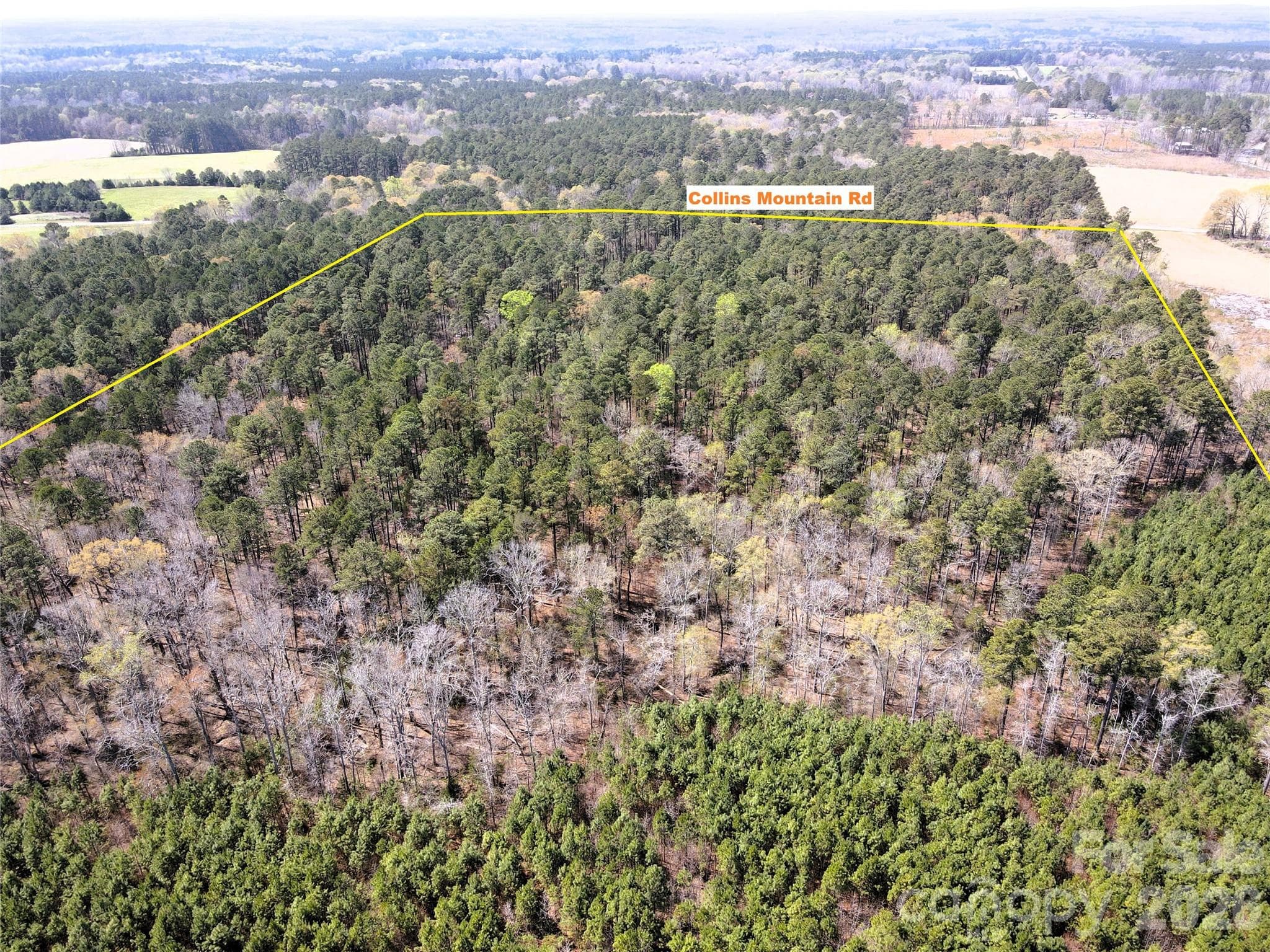 Look West towards Collins Mountain Rd - Chapel Hill