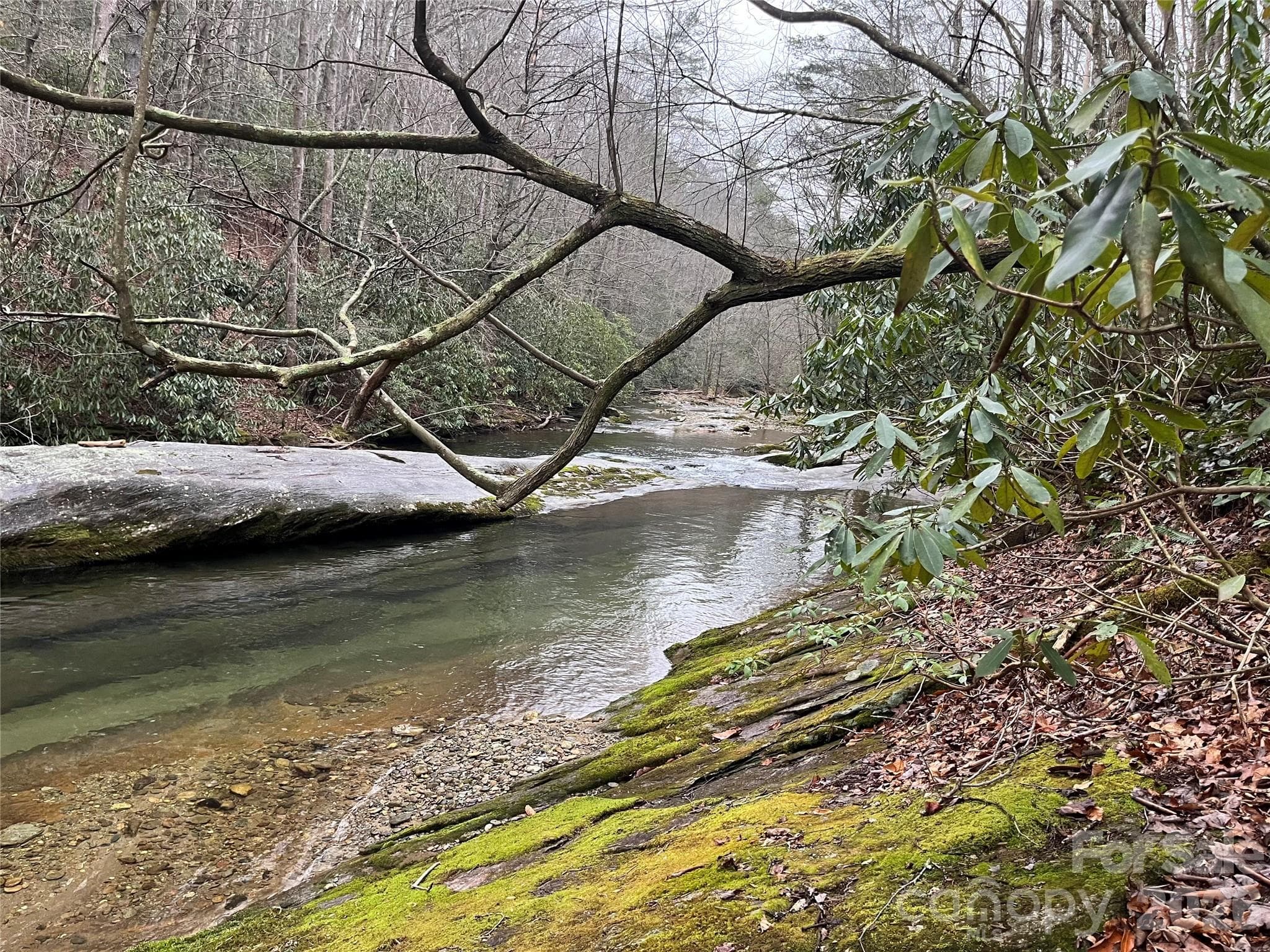 Acreage at TBD Powder Horn Road, Deep Gap, photo 5 of 38