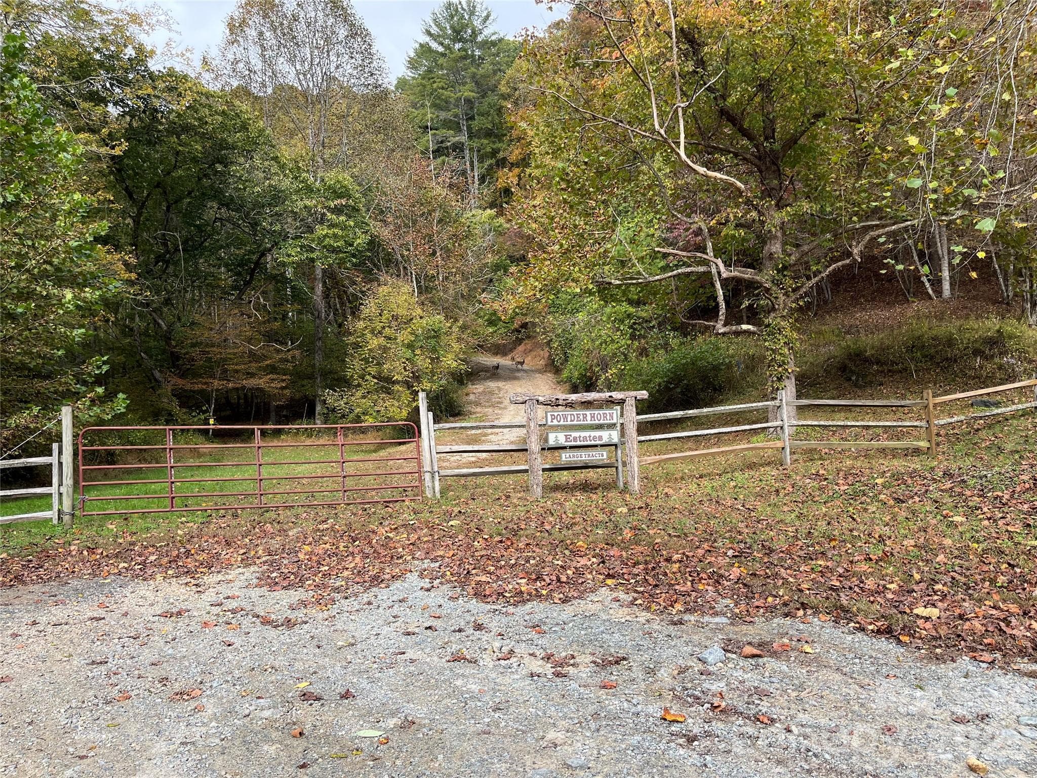 Acreage at TBD Powder Horn Road, Deep Gap, photo 11 of 38