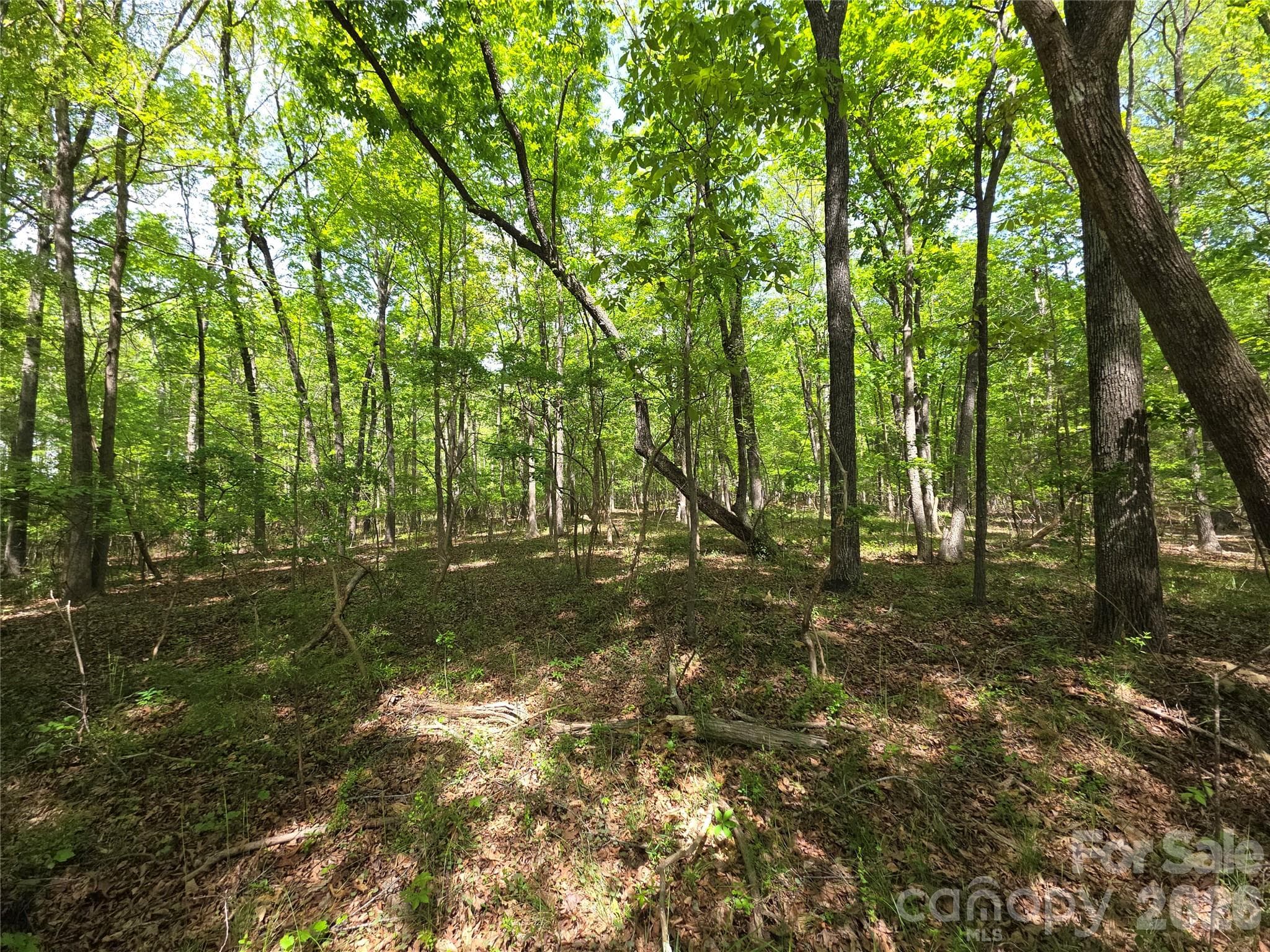 Acreage at Monroe, photo 6 of 11