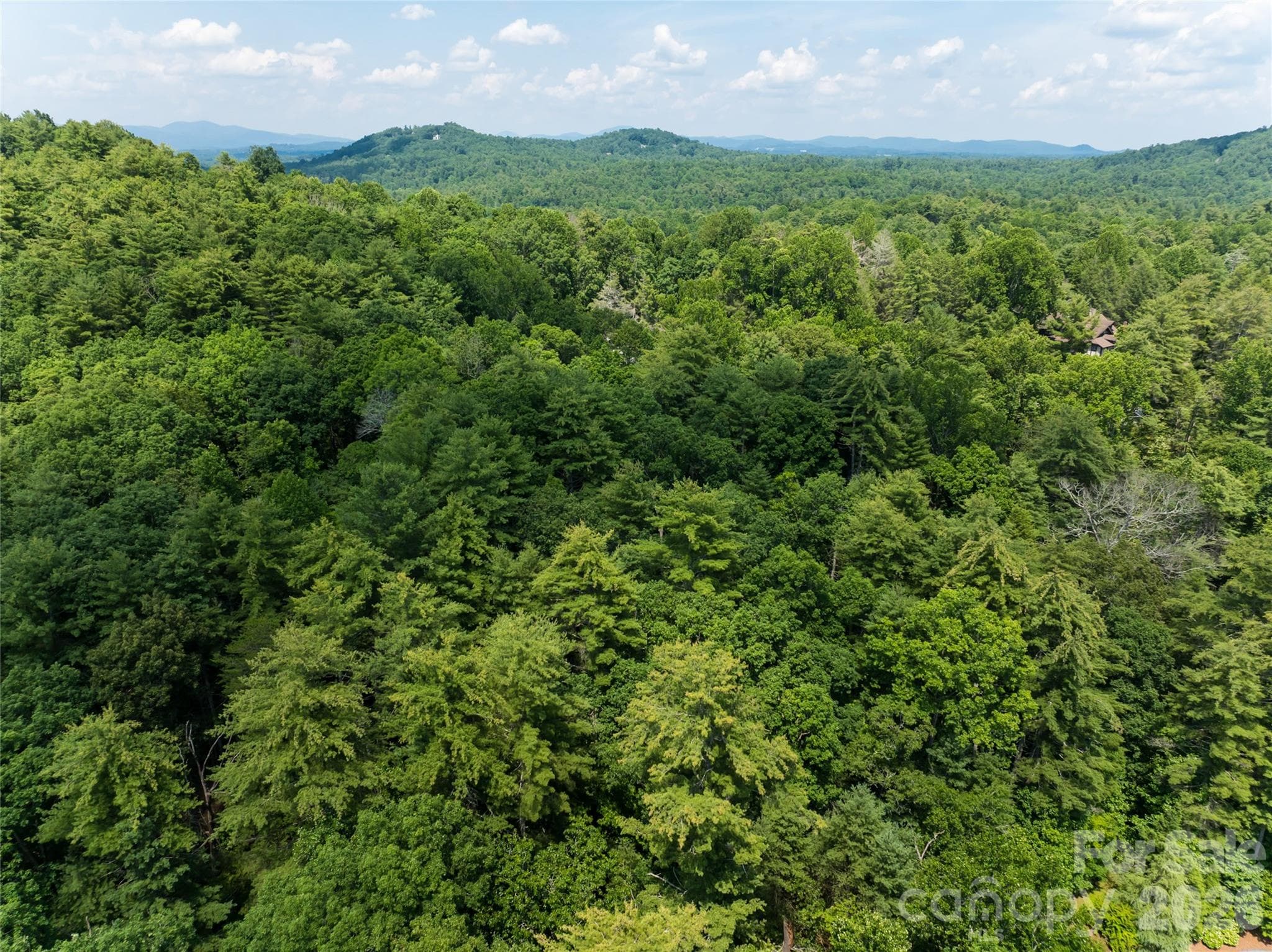 Single Family Residence at Hendersonville, photo 5 of 16