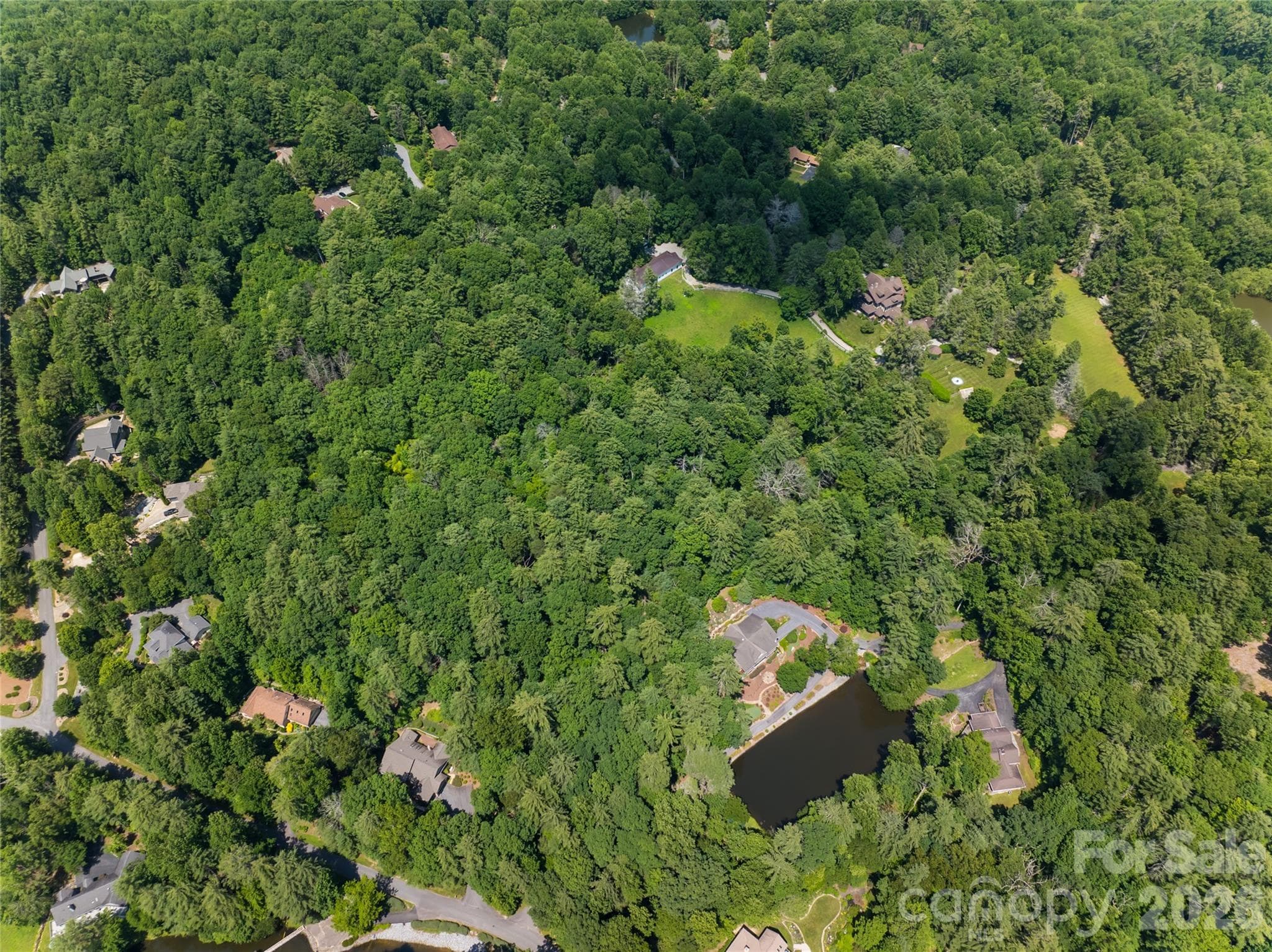 Single Family Residence at Hendersonville, photo 7 of 16
