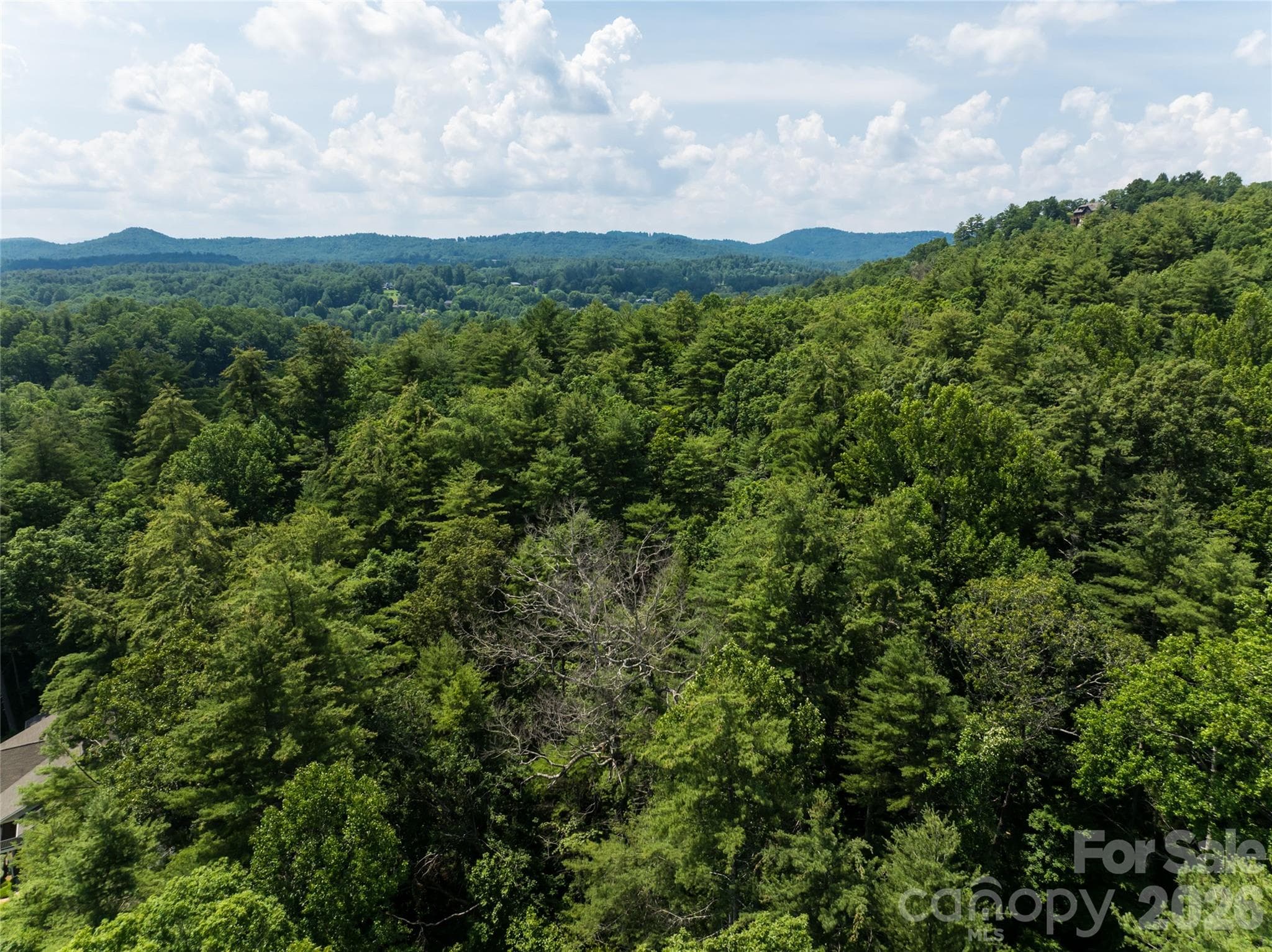 Single Family Residence at Hendersonville, photo 8 of 16