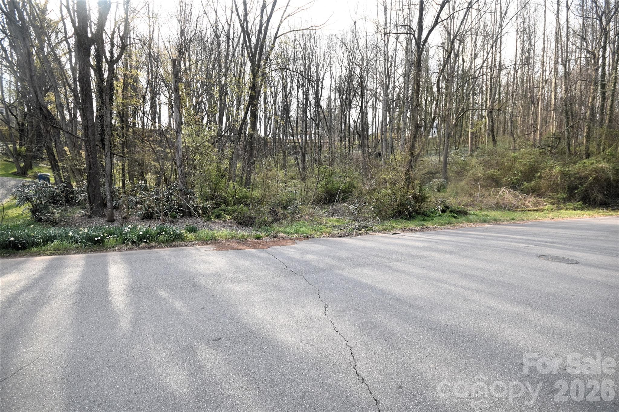 From Joy Lane looking East - Waynesville
