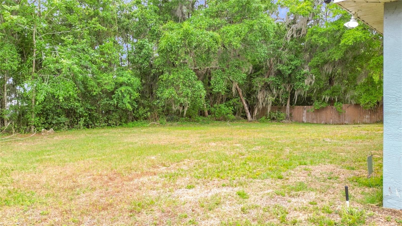 Yard - 4319 NW 4TH CIR, OCALA