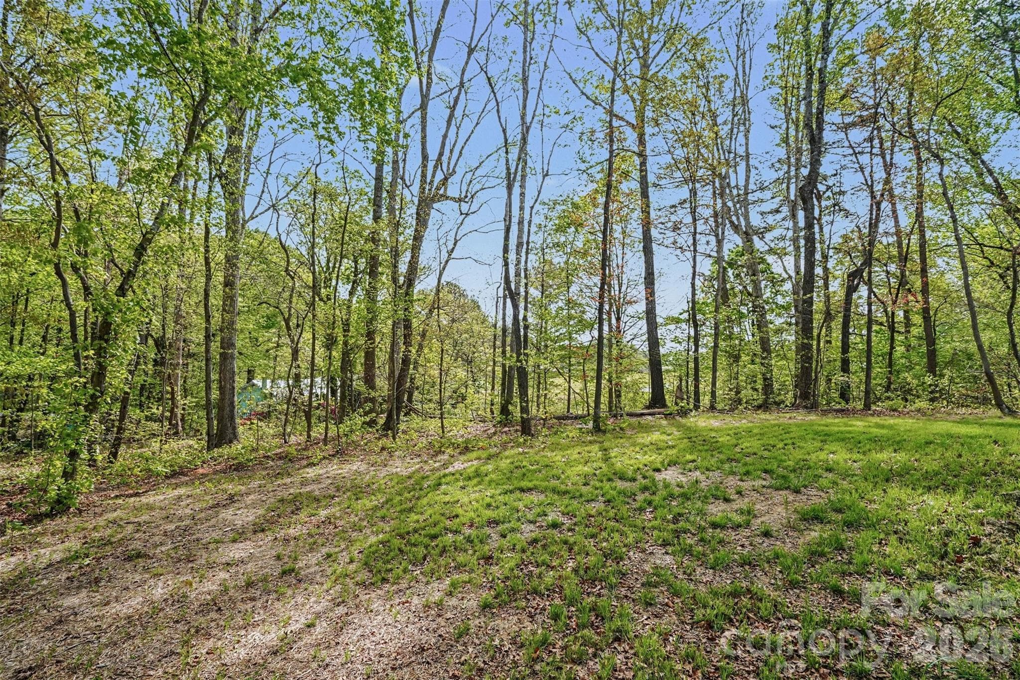 Lot at 12141 Coyle Road, Stanfield, photo 8 of 28