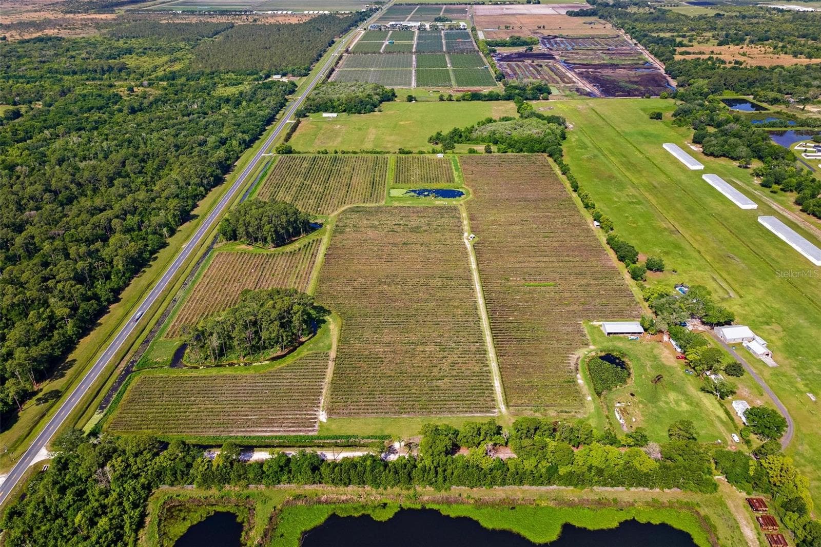 Land at 7453 JONES AVE, MOUNT DORA, photo 5 of 12