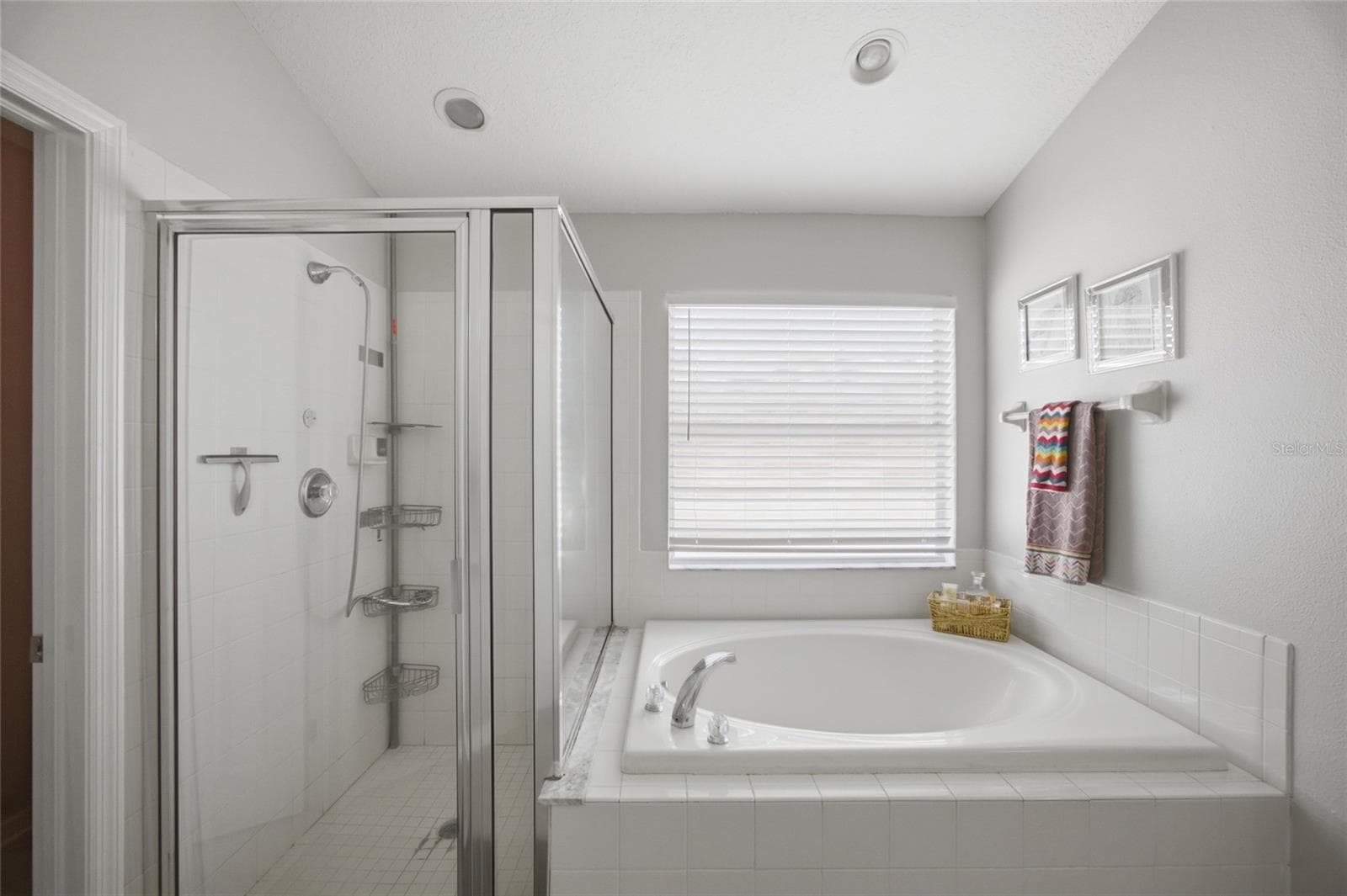 Single Family Residence at 24927 PORTOFINO DR, LUTZ, photo 20 of 42