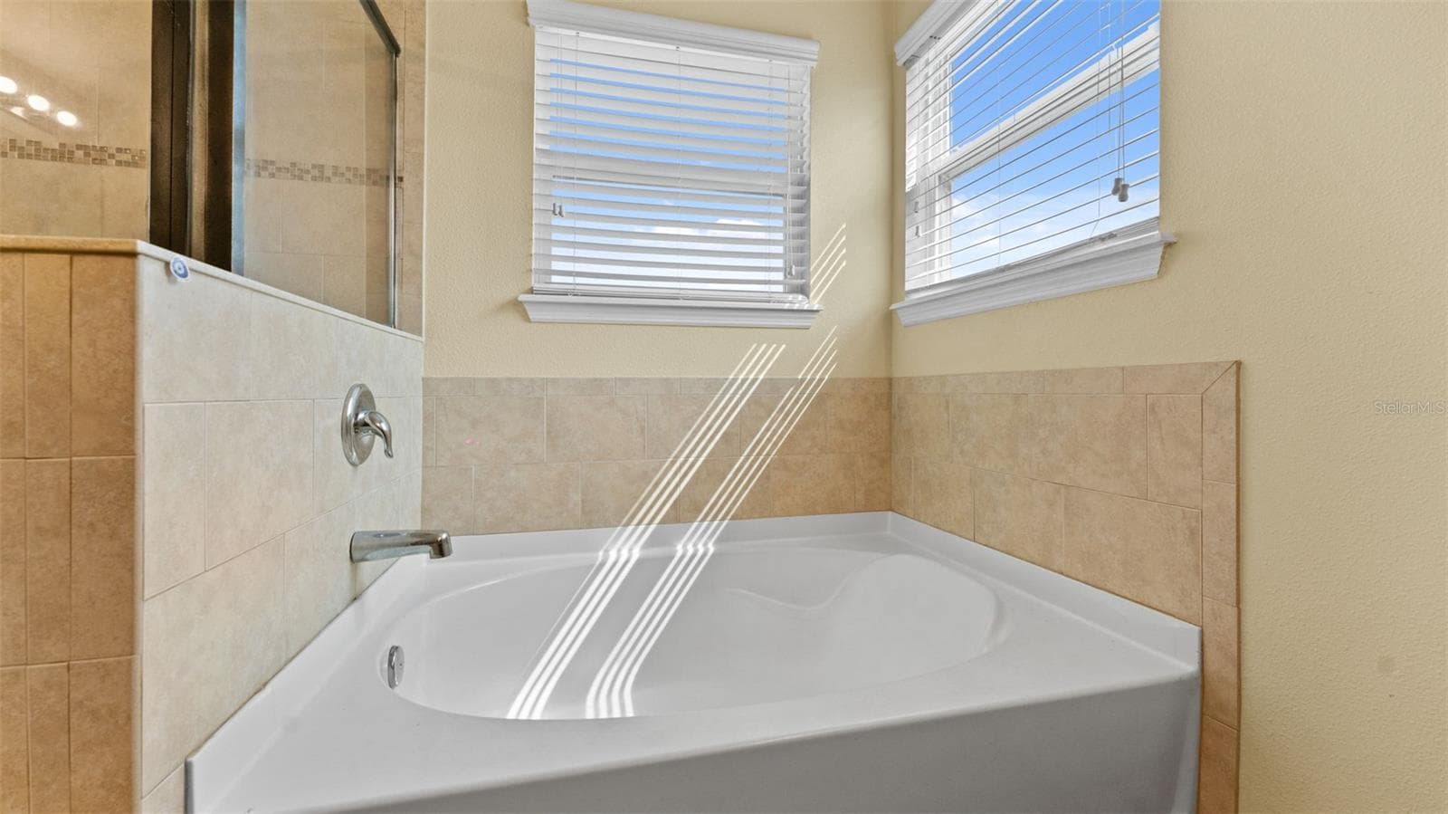 Primary Soaking Tub - 11620 WARREN OAKS PL, RIVERVIEW