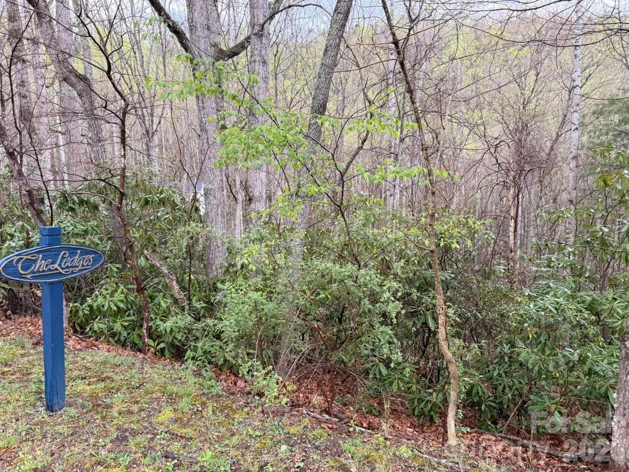 Lot at Hendersonville, photo 2 of 20