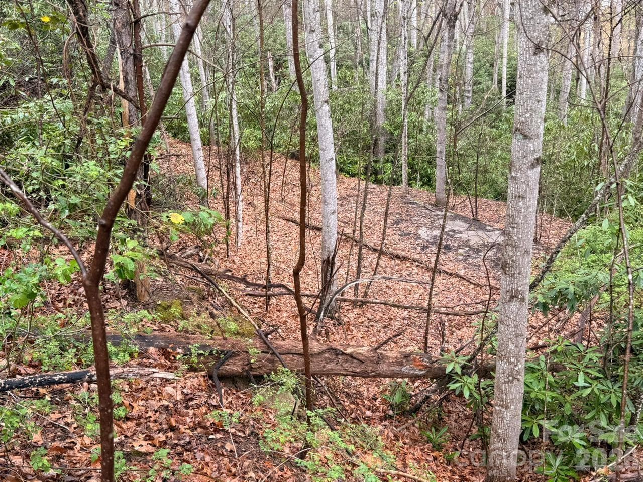 Lot at 000 Ridgeview Drive, Hendersonville, photo 7 of 20