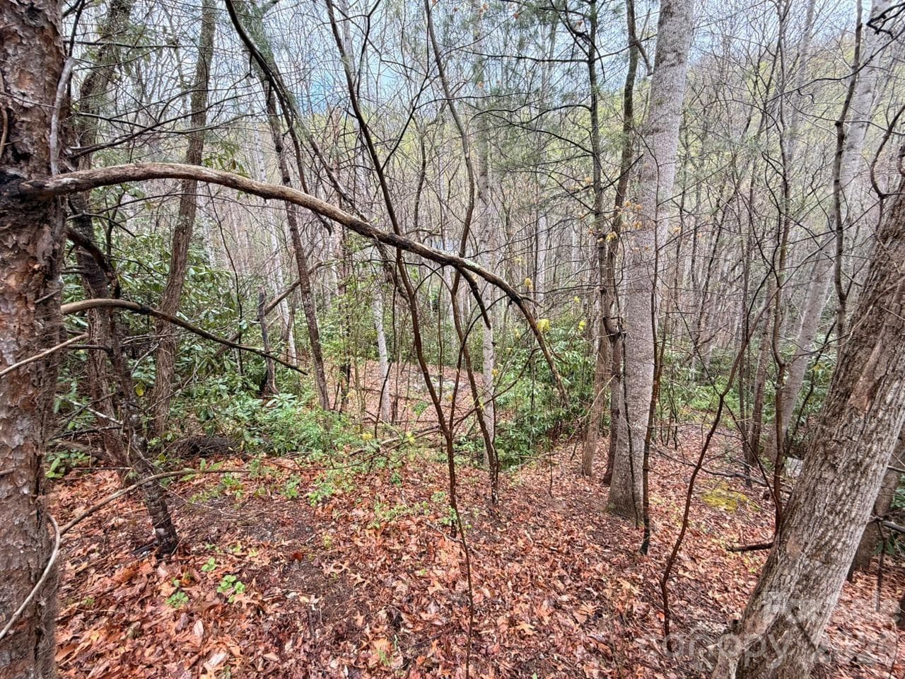 Lot at 000 Ridgeview Drive, Hendersonville, photo 11 of 20