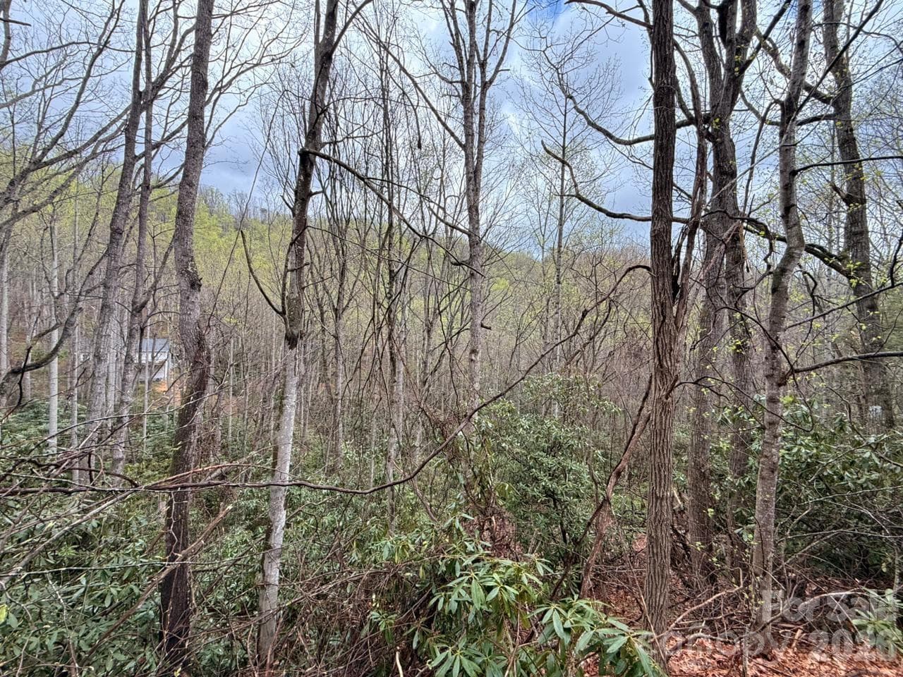 Lot at 000 Ridgeview Drive, Hendersonville, photo 13 of 20