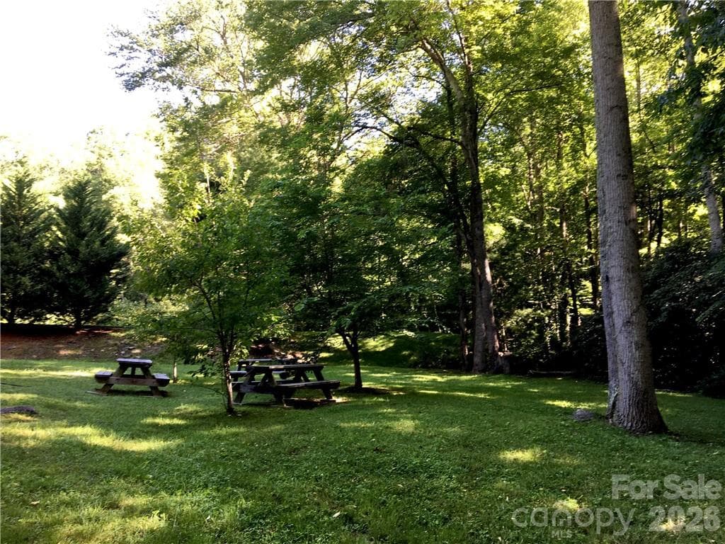Creekside Picnic Area (plenty of paved parking just beyond the evergreen hedge) - 99999 Red Oak Forest Road, Fairview