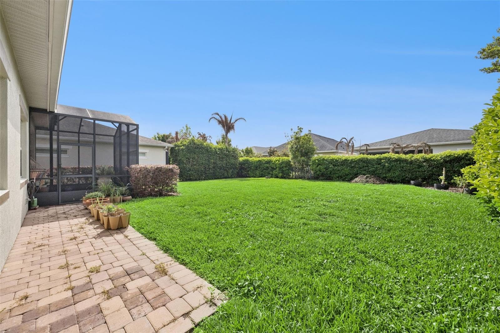 Backyard - 4902 W FOUNTAINWOOD DR, ST CLOUD