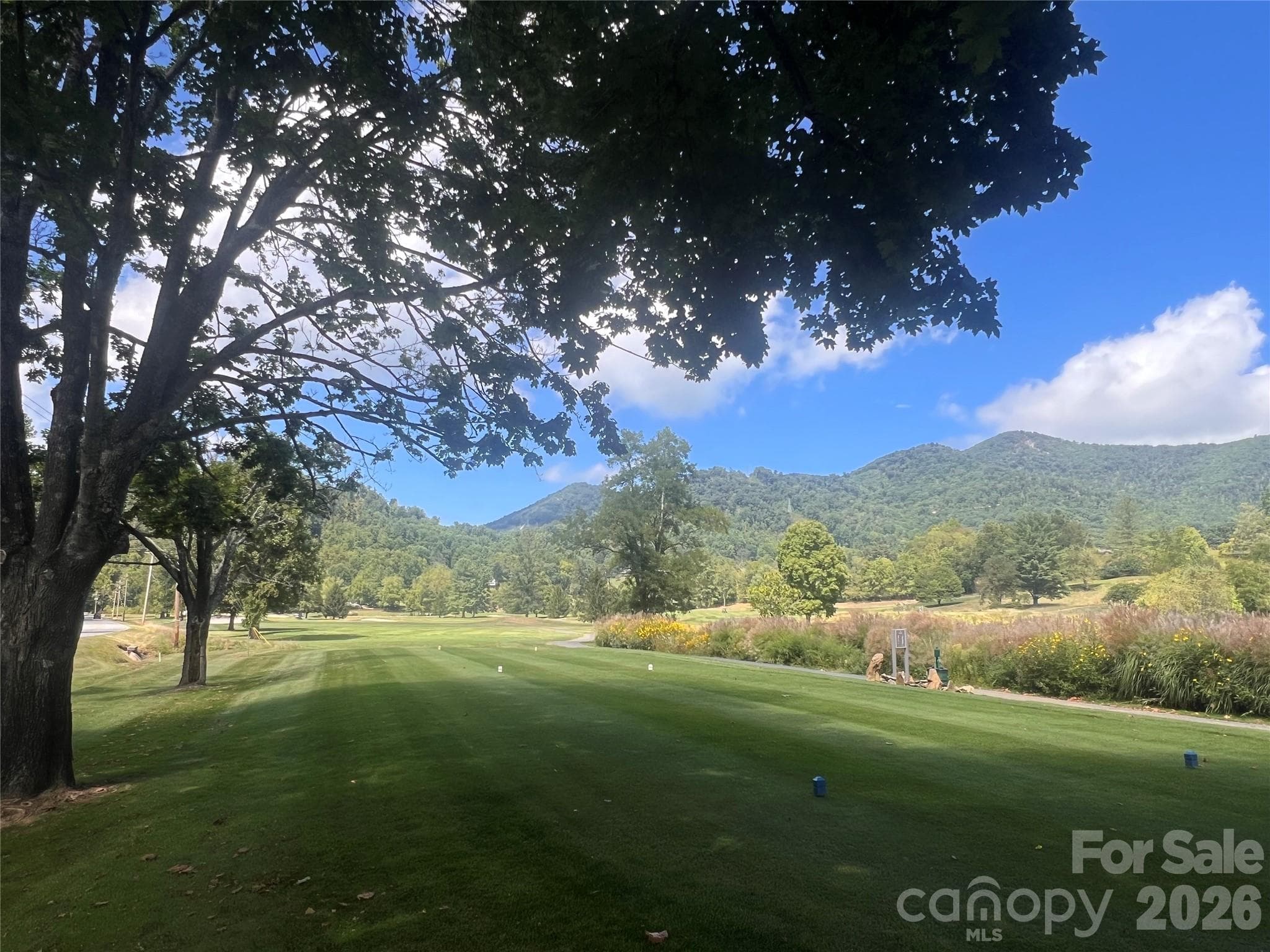 Springdale Resort Hole #5 - 51 Bear Tree Cove, Canton