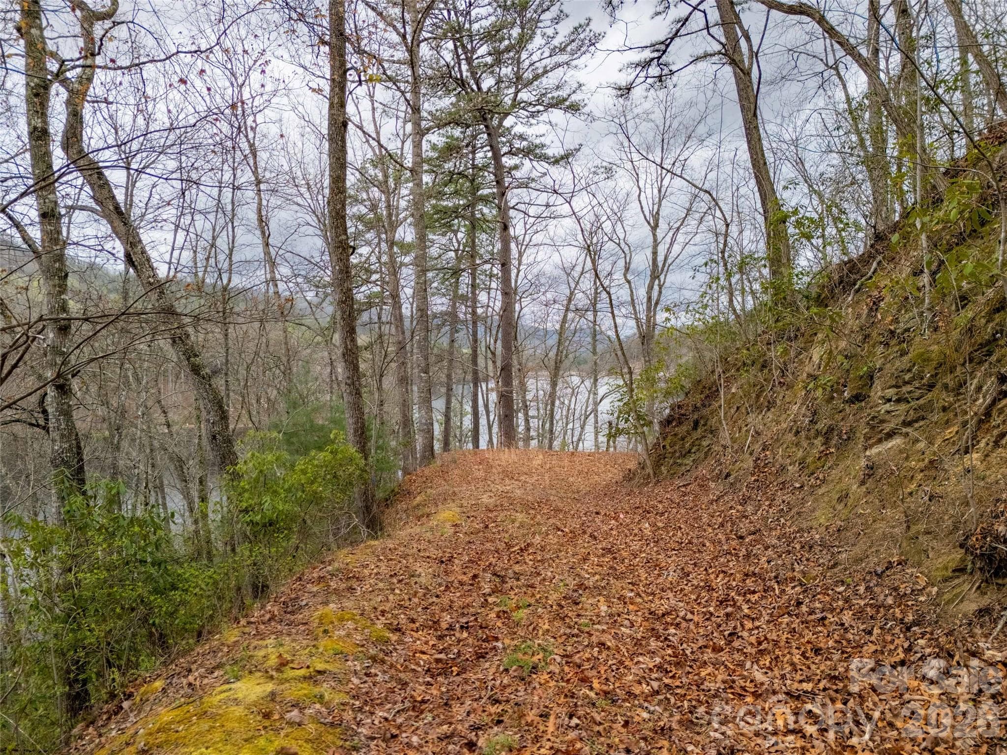 Lot at 159 Songcatcher Court, Tuckasegee, photo 13 of 44
