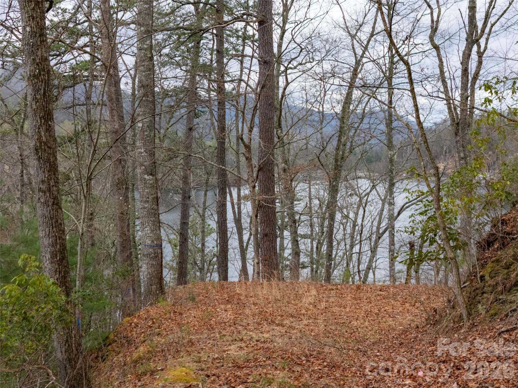 Lot at 159 Songcatcher Court, Tuckasegee, photo 14 of 44