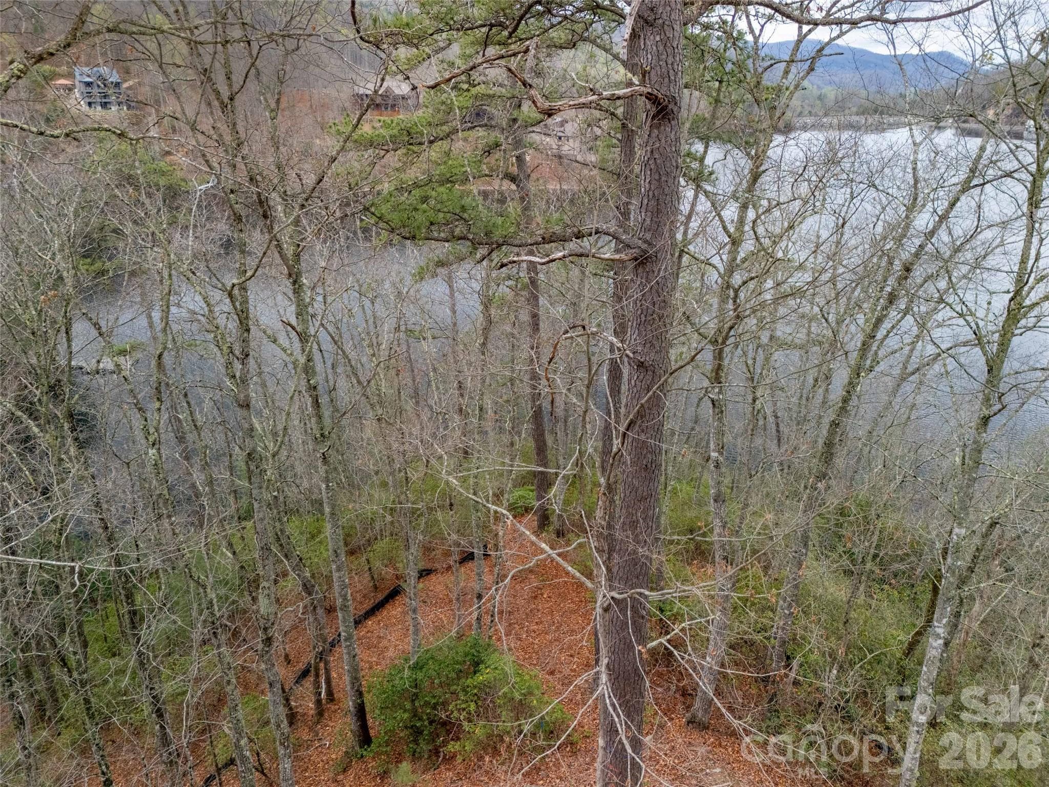 Lot at 159 Songcatcher Court, Tuckasegee, photo 15 of 44