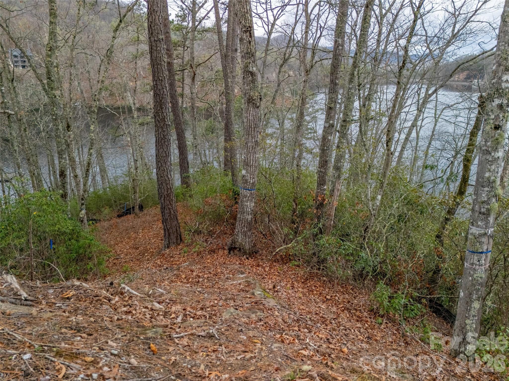 Lot at 159 Songcatcher Court, Tuckasegee, photo 17 of 44