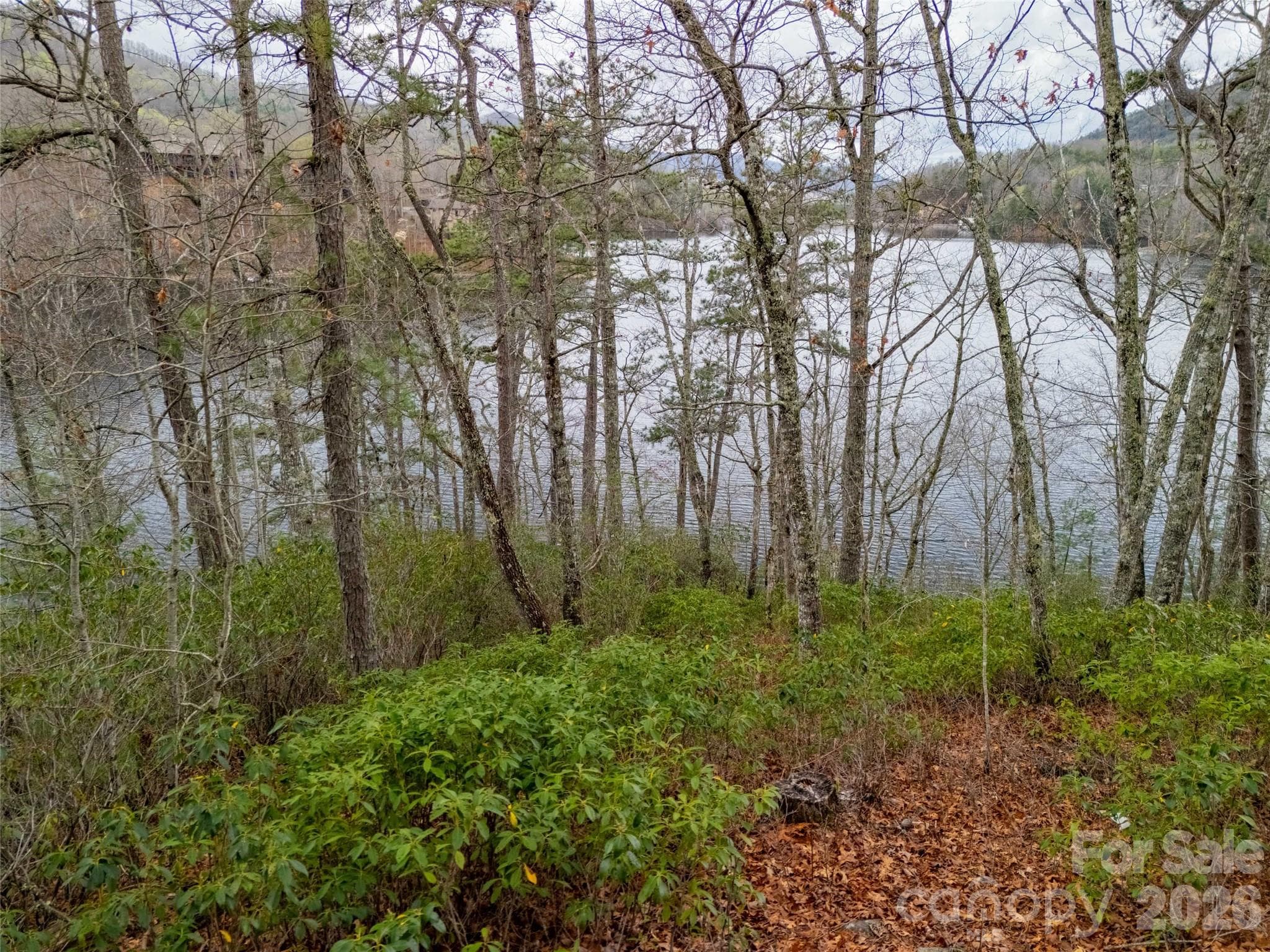 Lot at 159 Songcatcher Court, Tuckasegee, photo 18 of 44