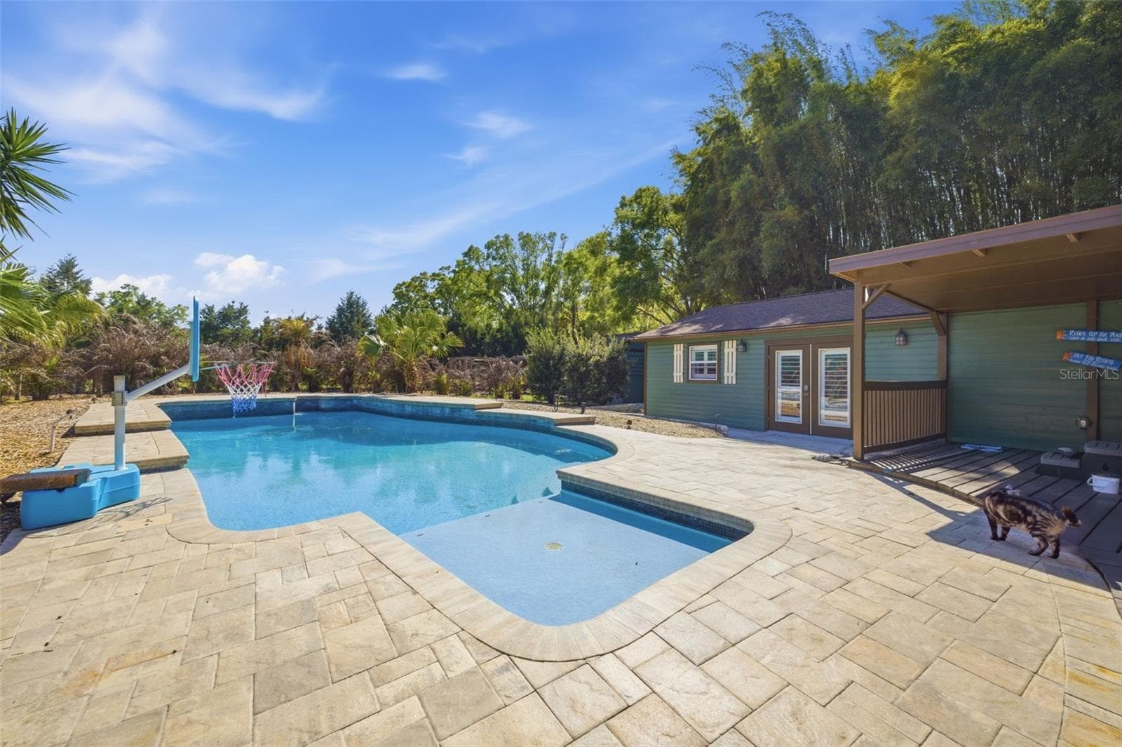 Gorgeous pool recently redone with sun shelf and view of In law suite - 3752 OLD KEYSTONE RD, TARPON SPRINGS