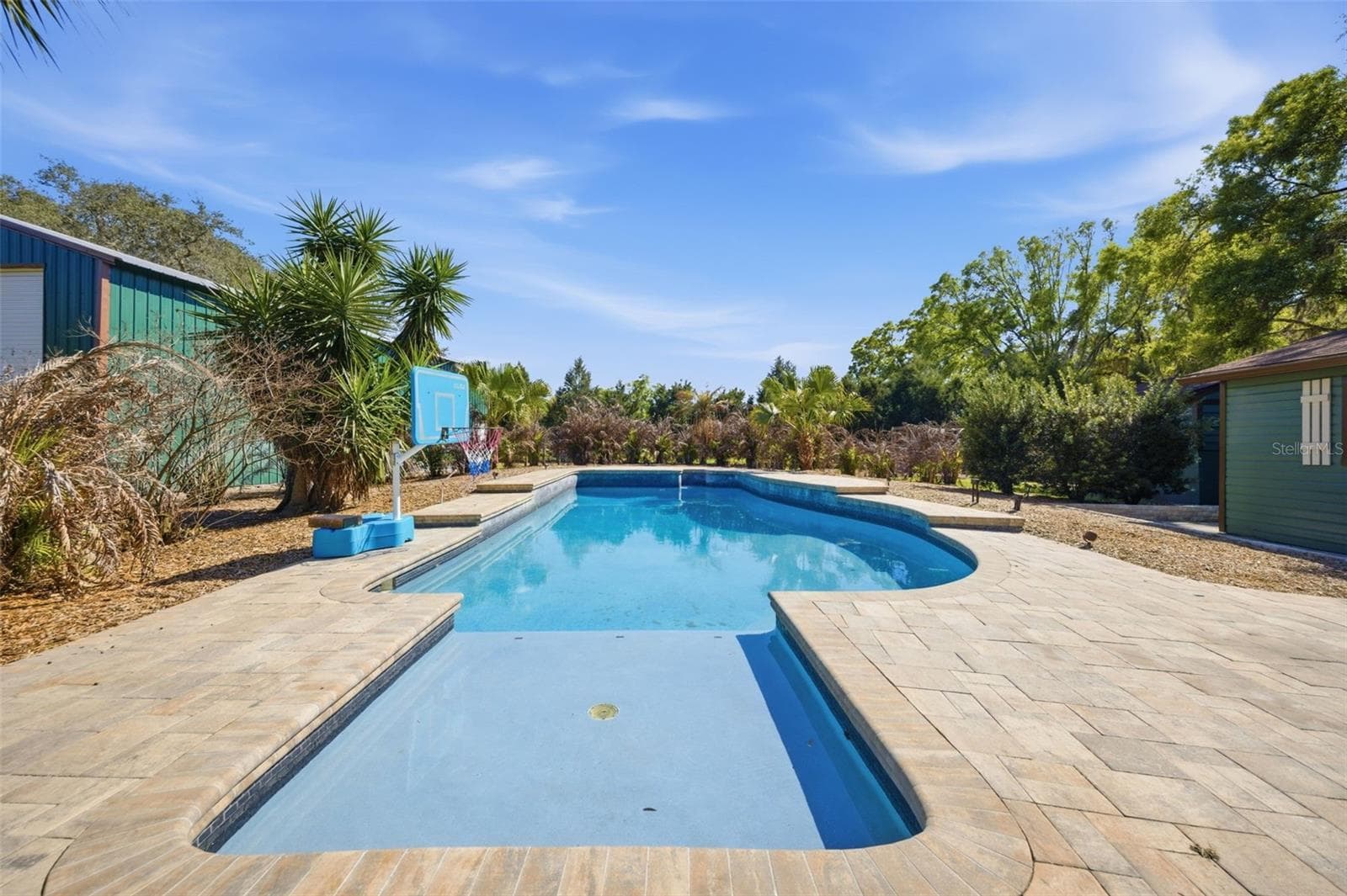 Pool with Sun shelf - 3752 OLD KEYSTONE RD, TARPON SPRINGS