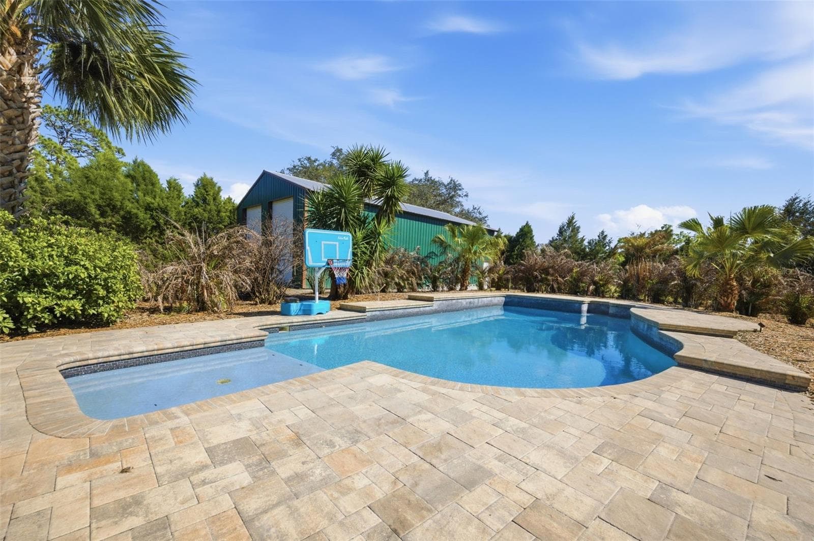 Pool with the privacy of lanscape surrounding - 3752 OLD KEYSTONE RD, TARPON SPRINGS