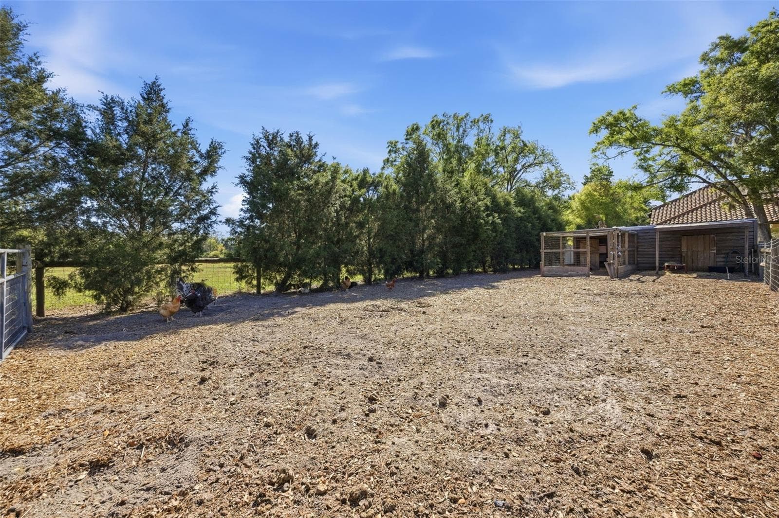 Single Family Residence at 3752 OLD KEYSTONE RD, TARPON SPRINGS, photo 65 of 71