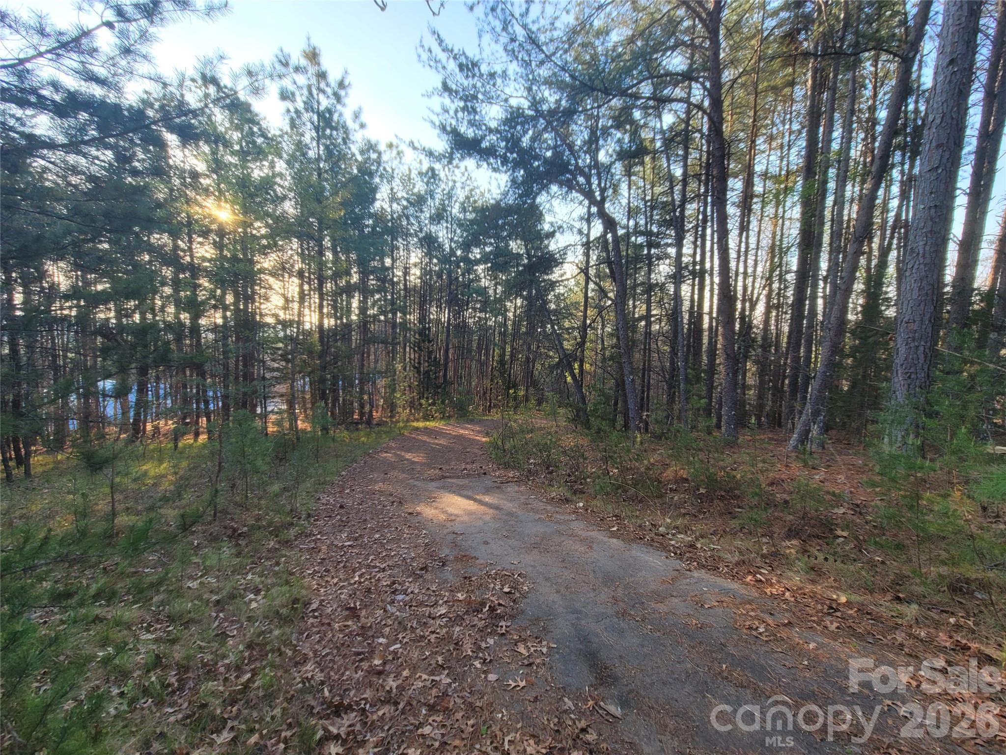 Lot at 0 Cozy Lane, Lake Lure, photo 2 of 10