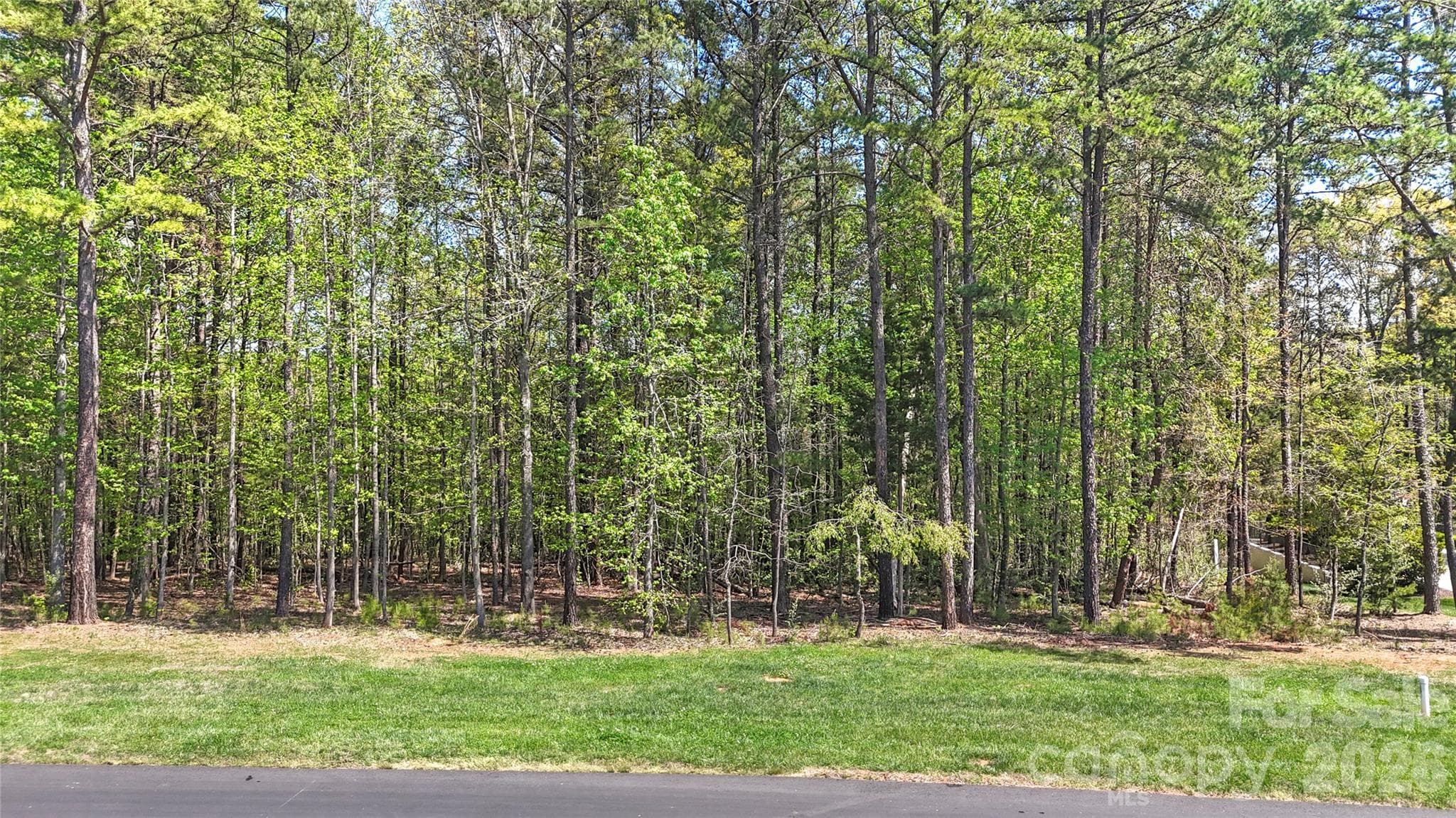 Lot at 6140 Volte Drive, Charlotte, photo 10 of 33