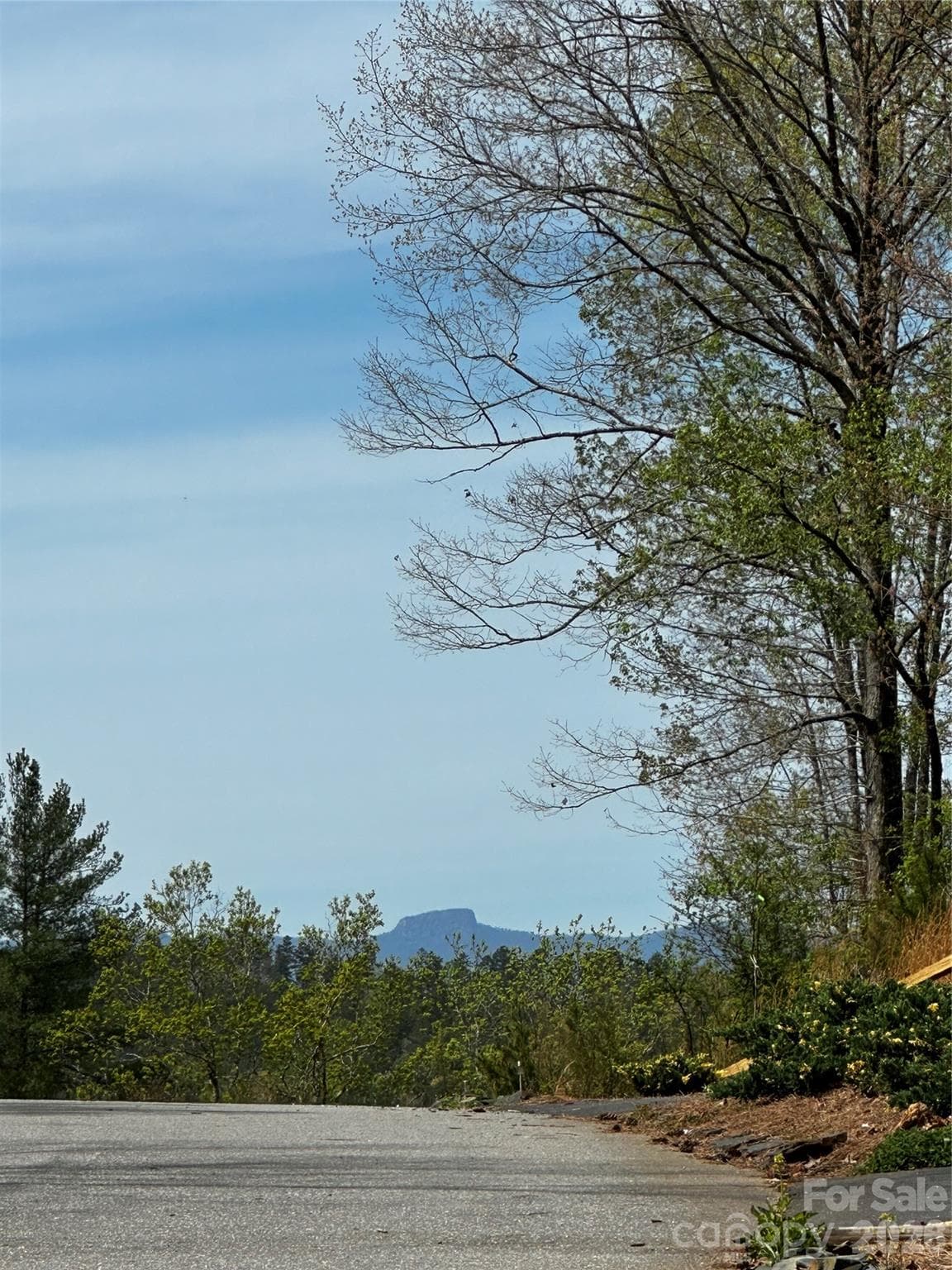 View of Table Rock from lot - 3202 Bear Paw Avenue NW, Valdese