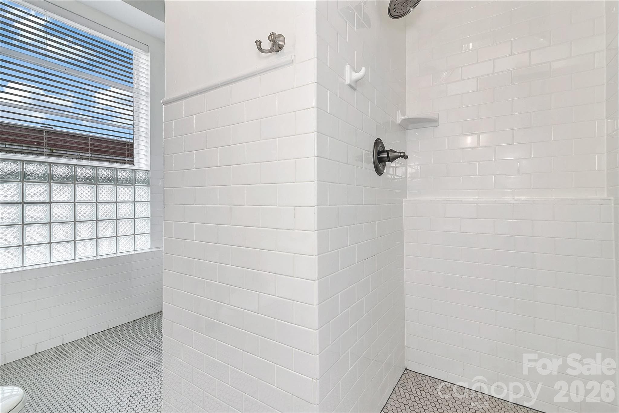 Condominium at Asheville, photo 29 of 31