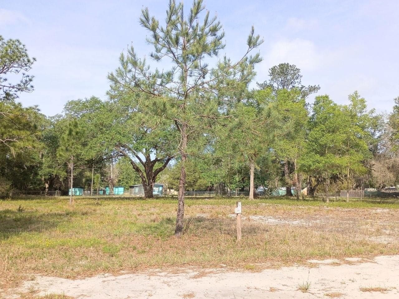 Land at NE 141ST CT, FORT MC COY, photo 3 of 5