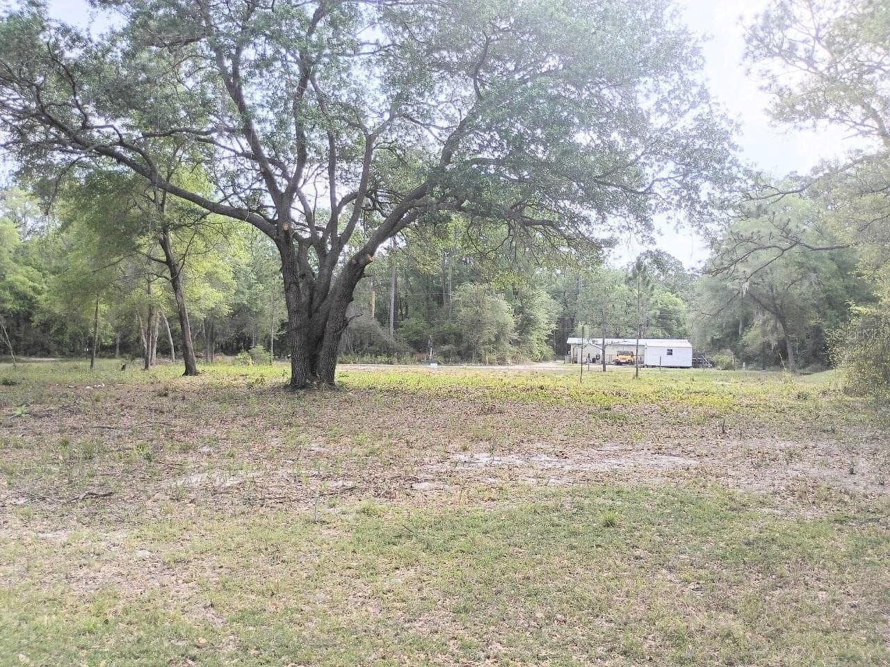 Land at NE 141ST CT, FORT MC COY, photo 4 of 5