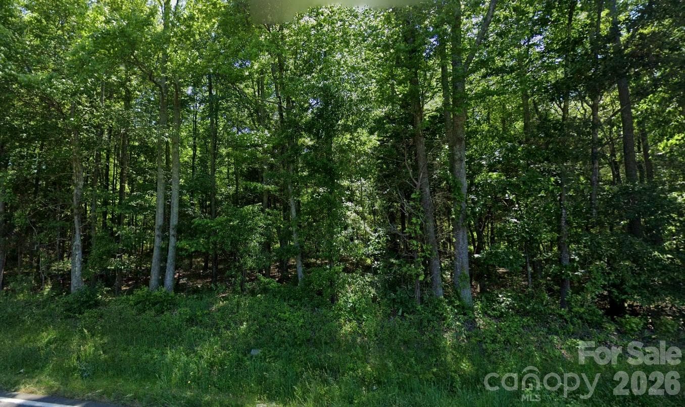 Acreage at 00 Ridgecrest Road, Locust, photo 6 of 7