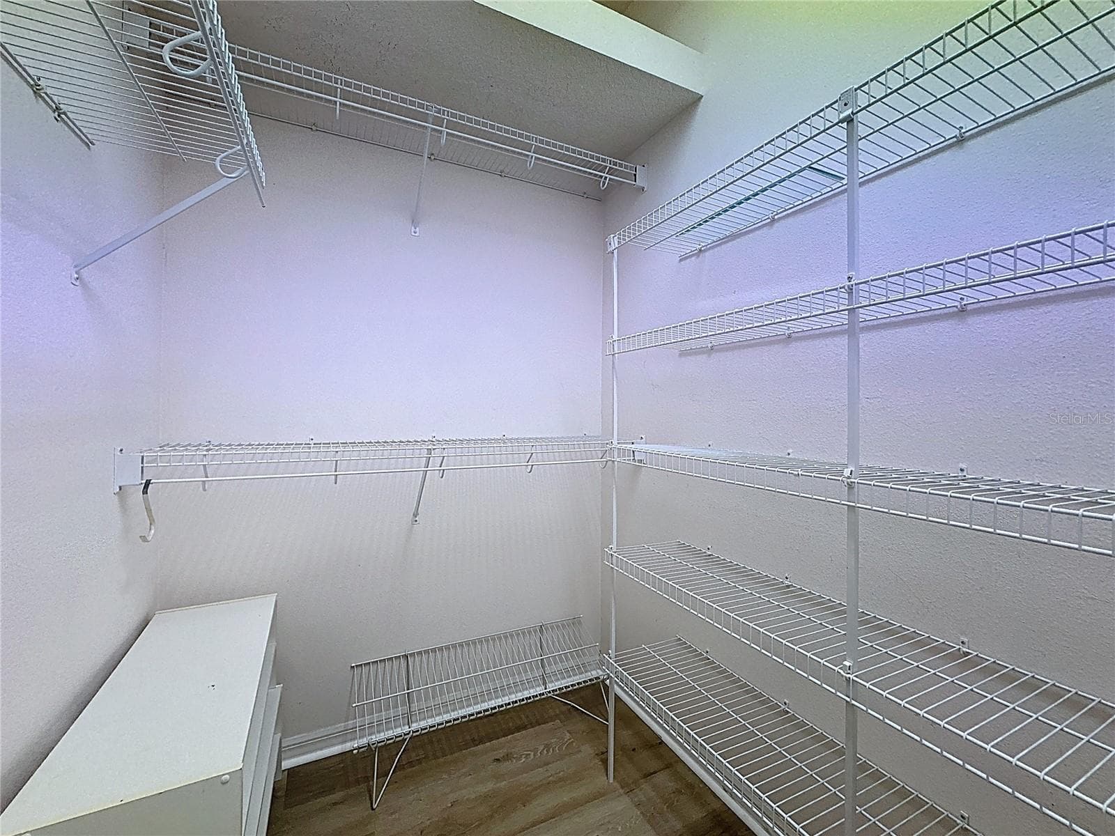 Primary Walk-in Closet - 2308 TWICKINGHAM CT, CLERMONT