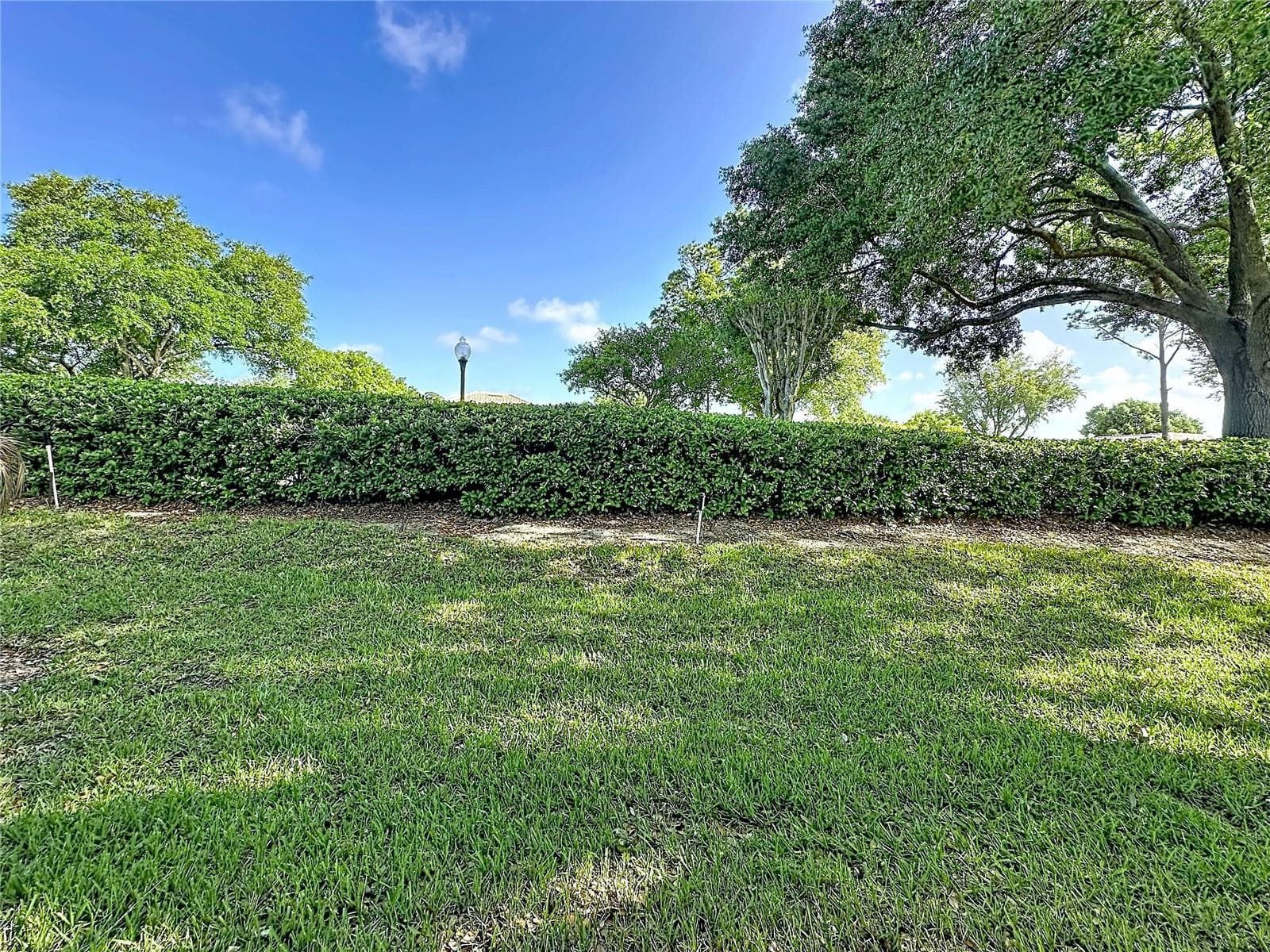 Backyard - 2308 TWICKINGHAM CT, CLERMONT