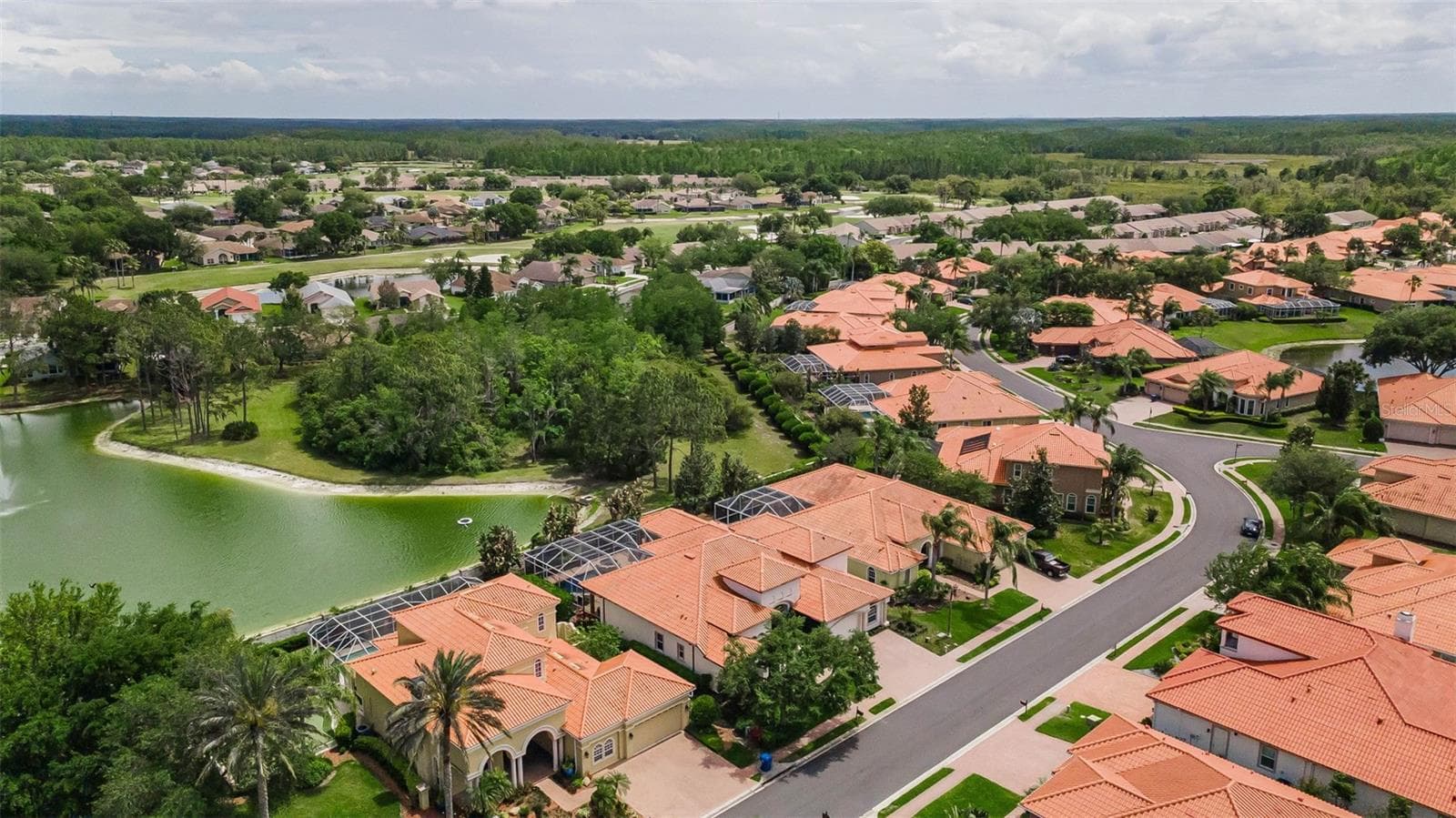 Single Family Residence at 1246 TUSCANY DR, TRINITY, photo 8 of 100